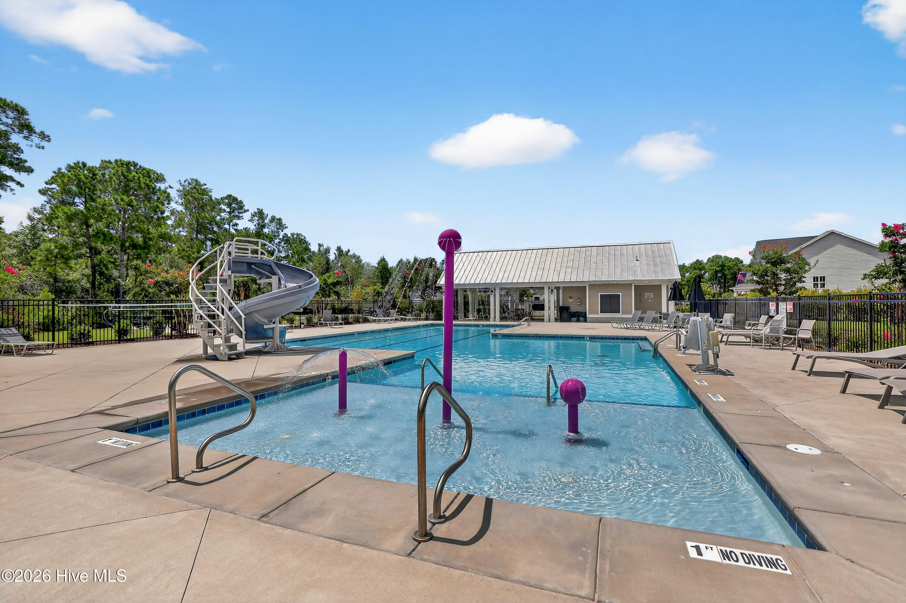 100564151 | Photo 47