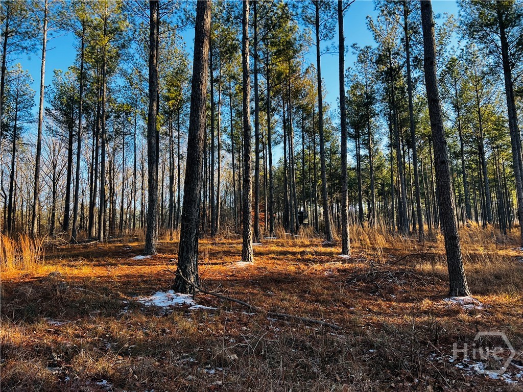 2285 Cherokee Road, Comer, GA, 30629