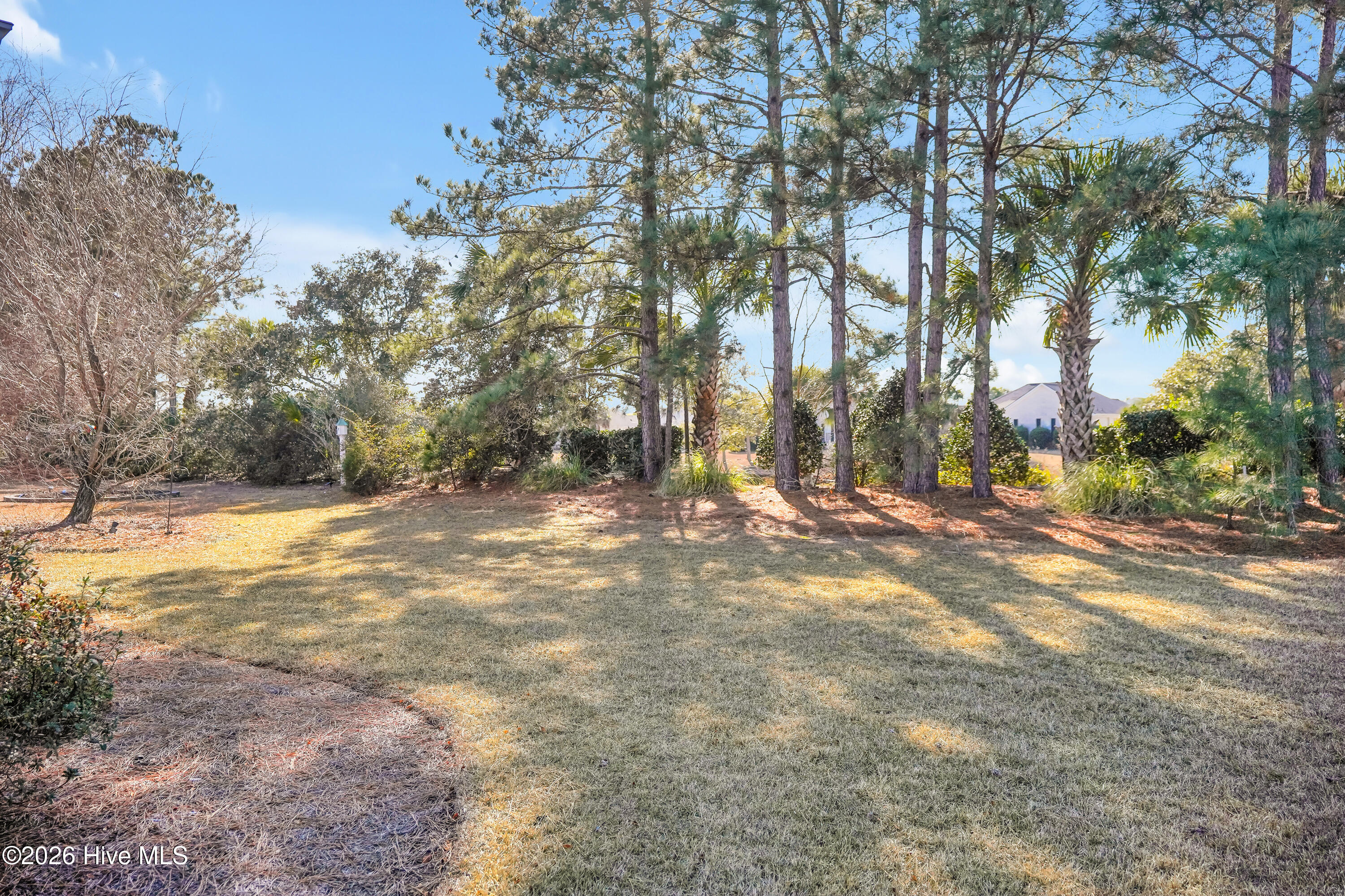 100547997 | Photo 30