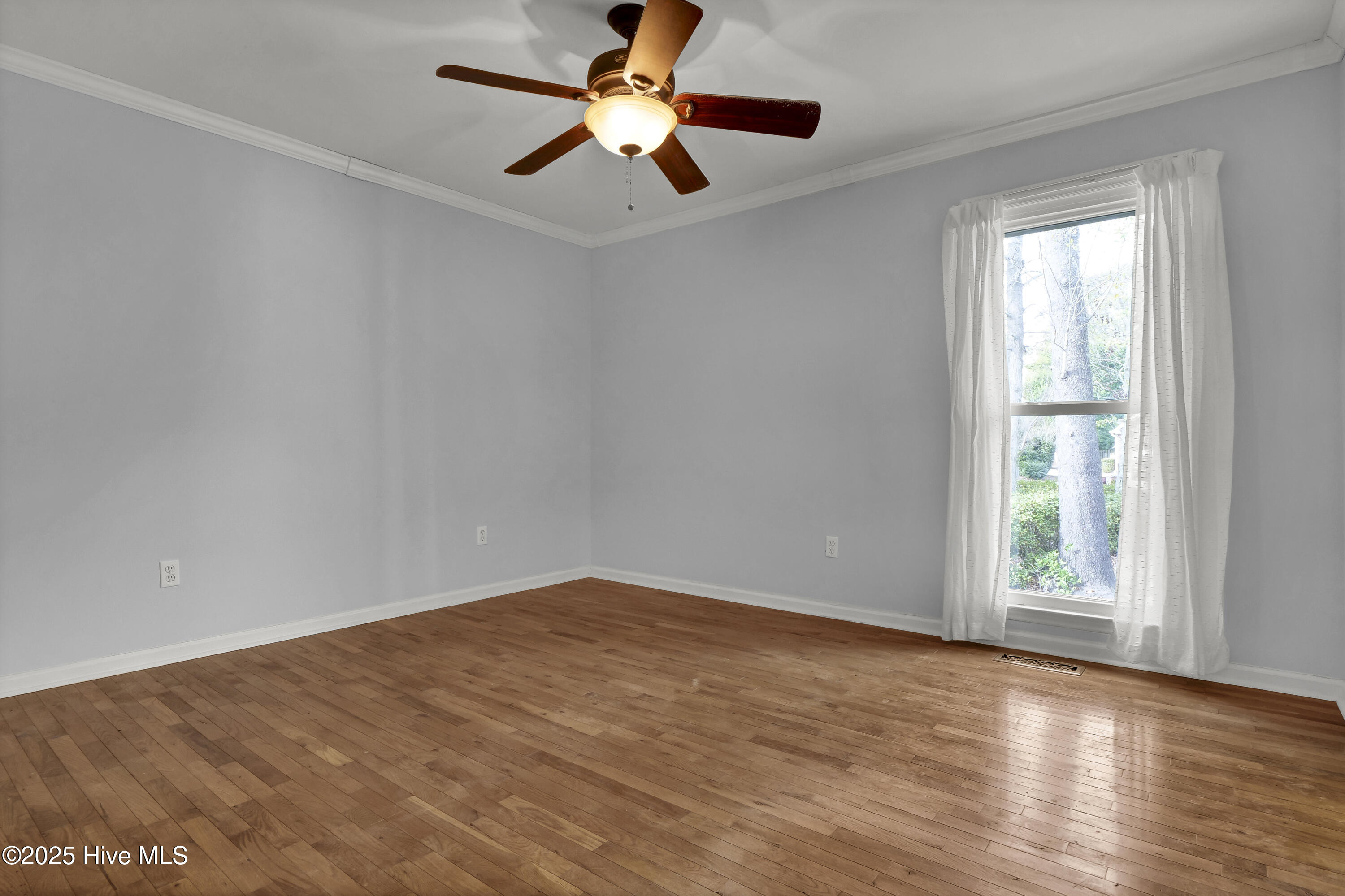 100546106 | Photo 19