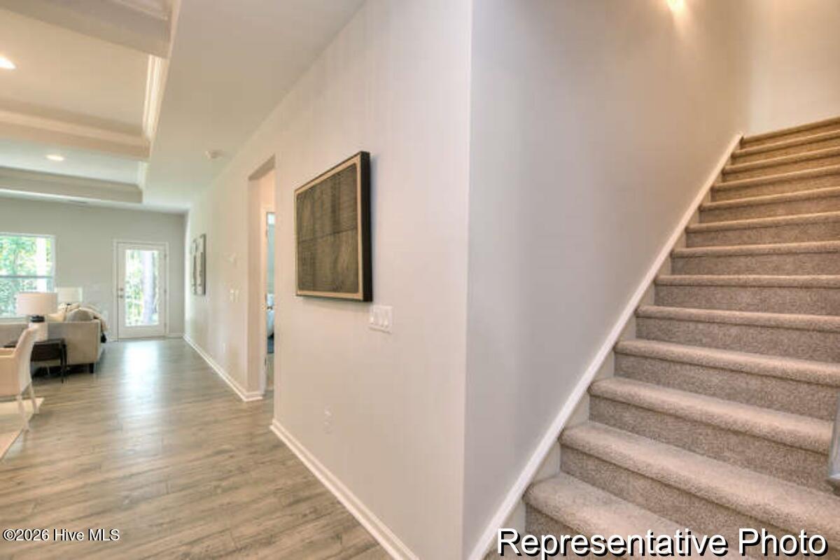 100555461 | Photo 22