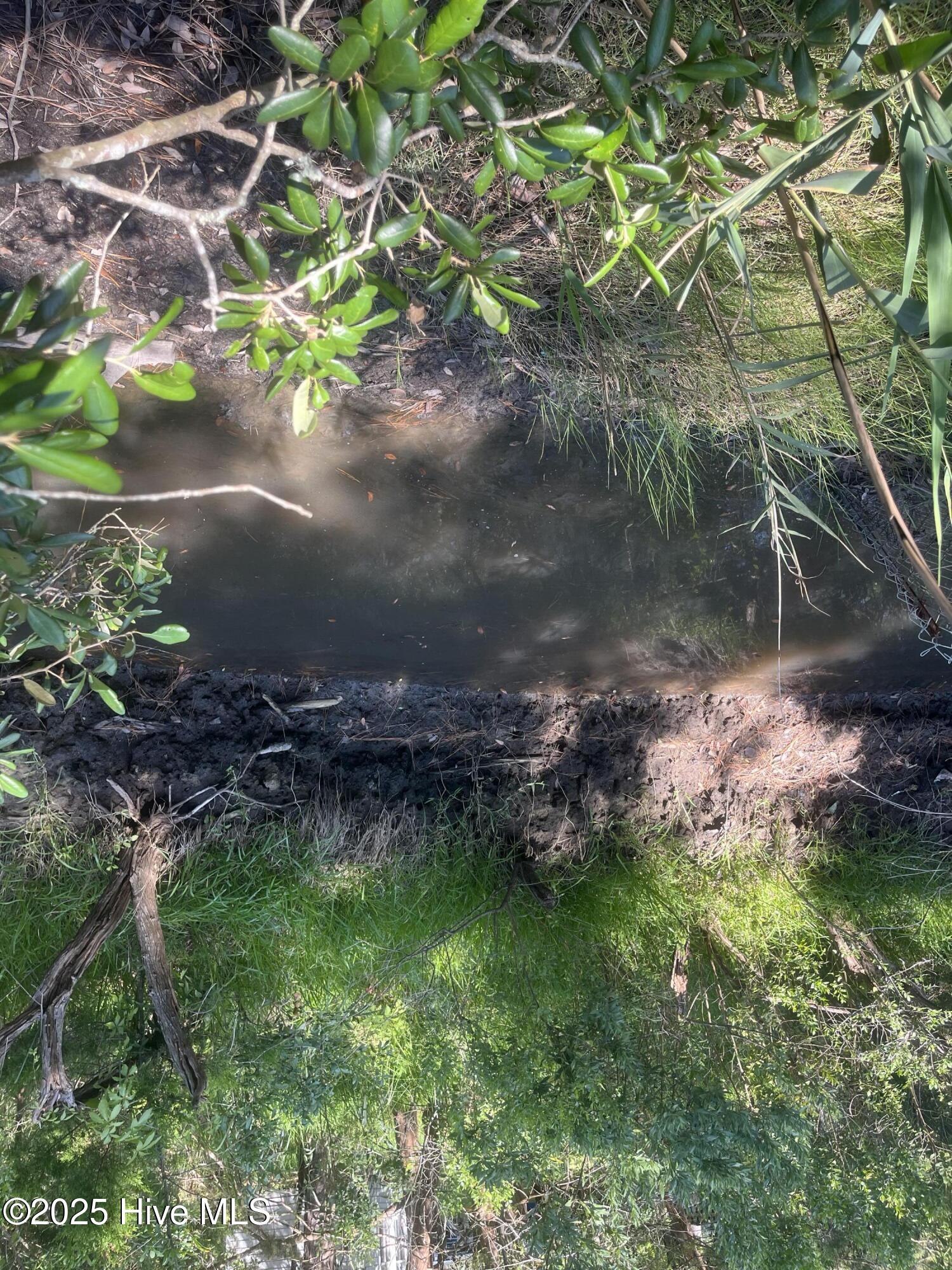 100521049 | Photo 46