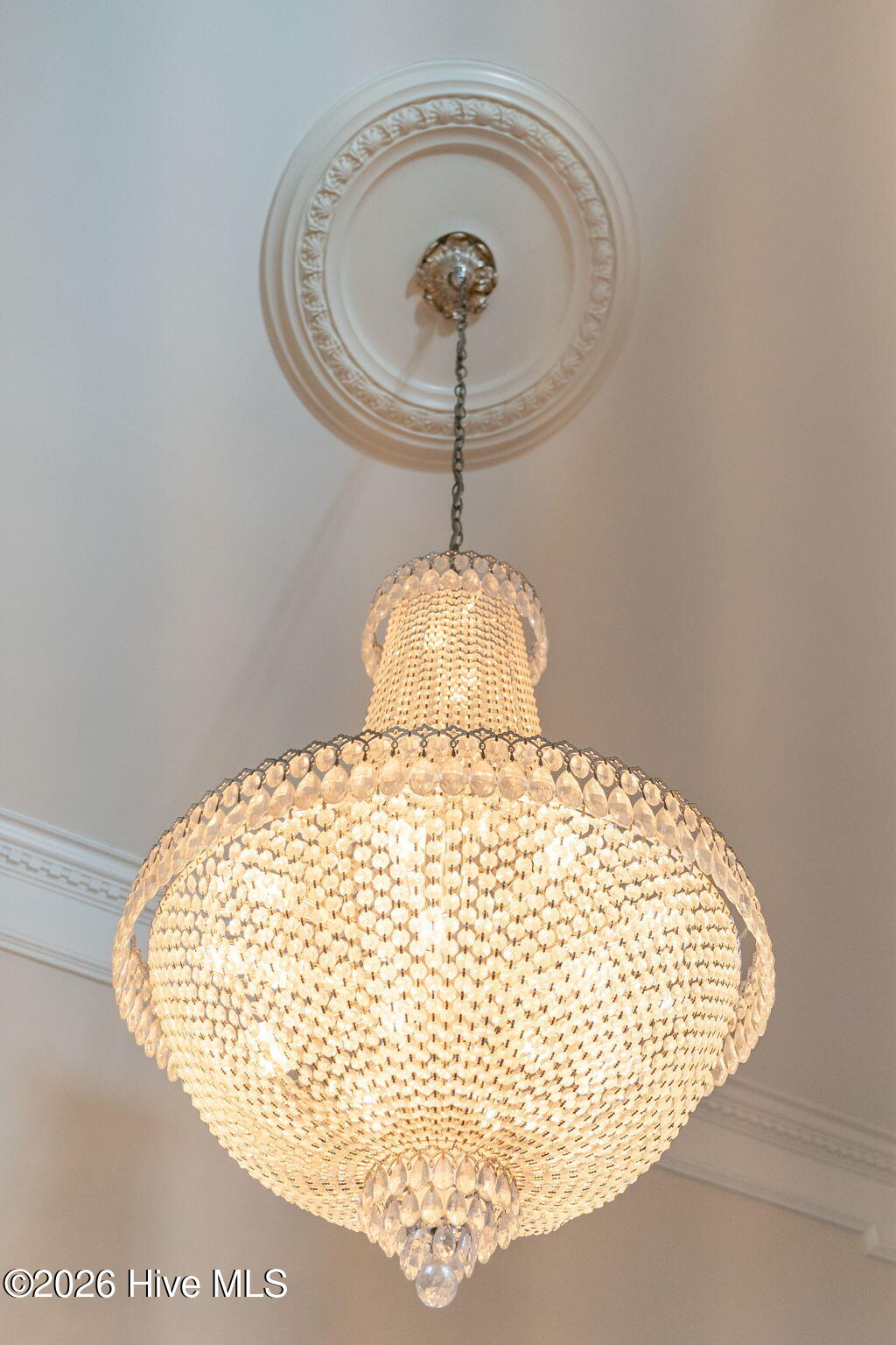 100552689 | Photo 45