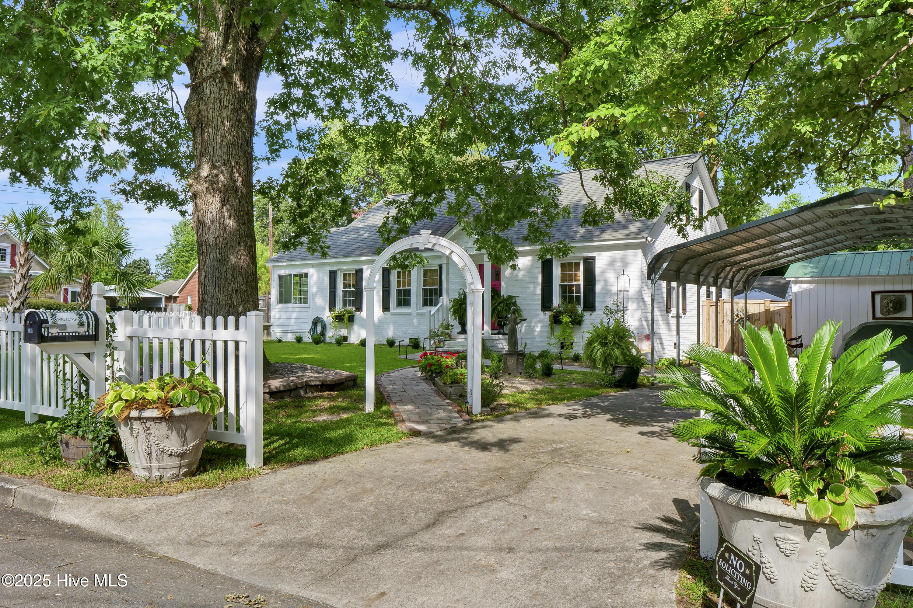 100528167 | Photo 11