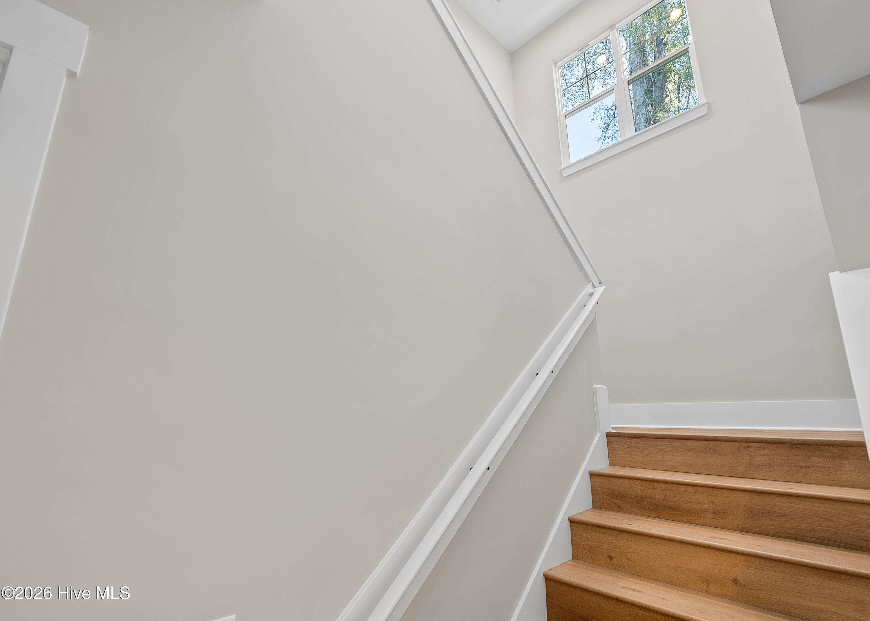 100557015 | Photo 19