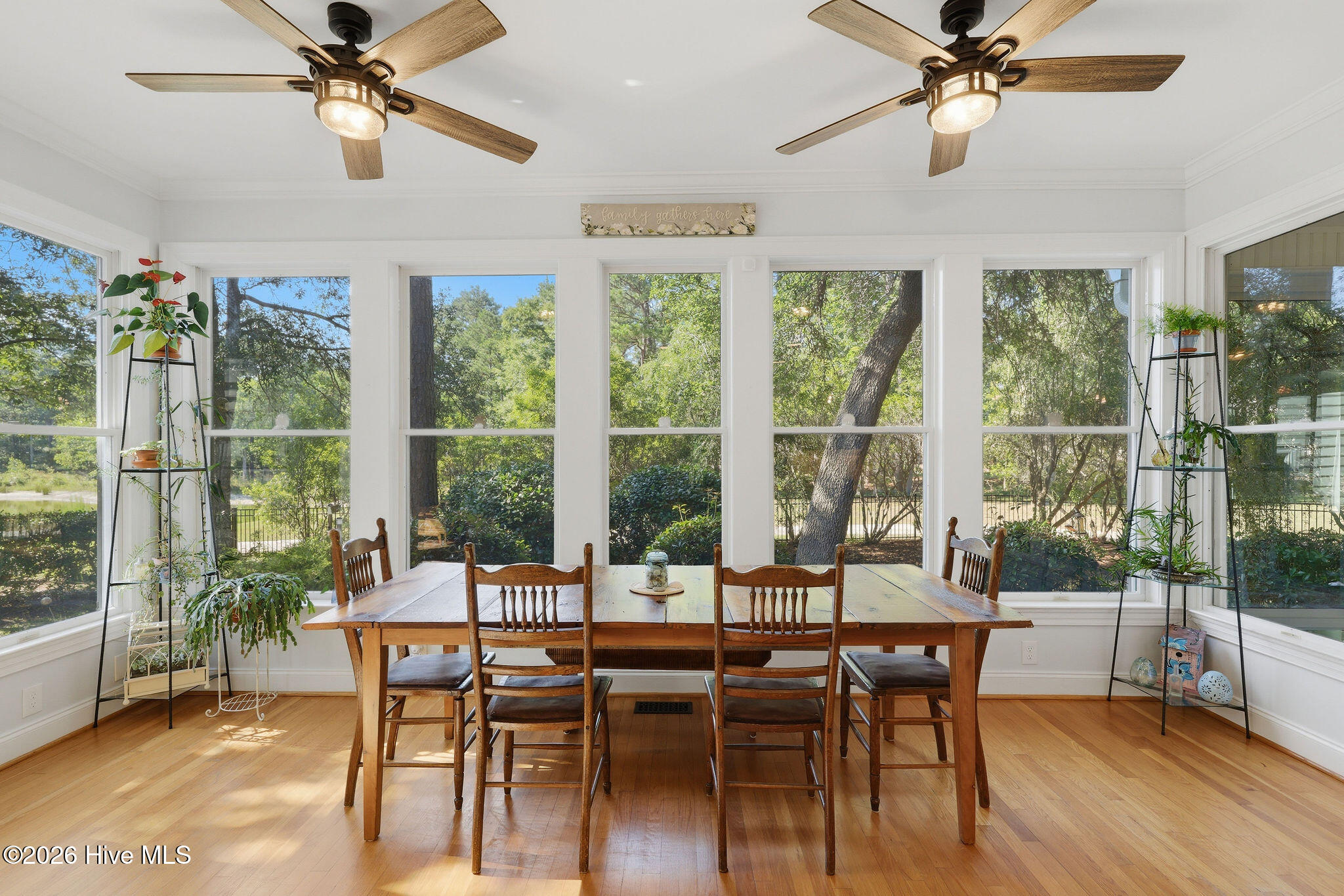 100581228 | Photo 29