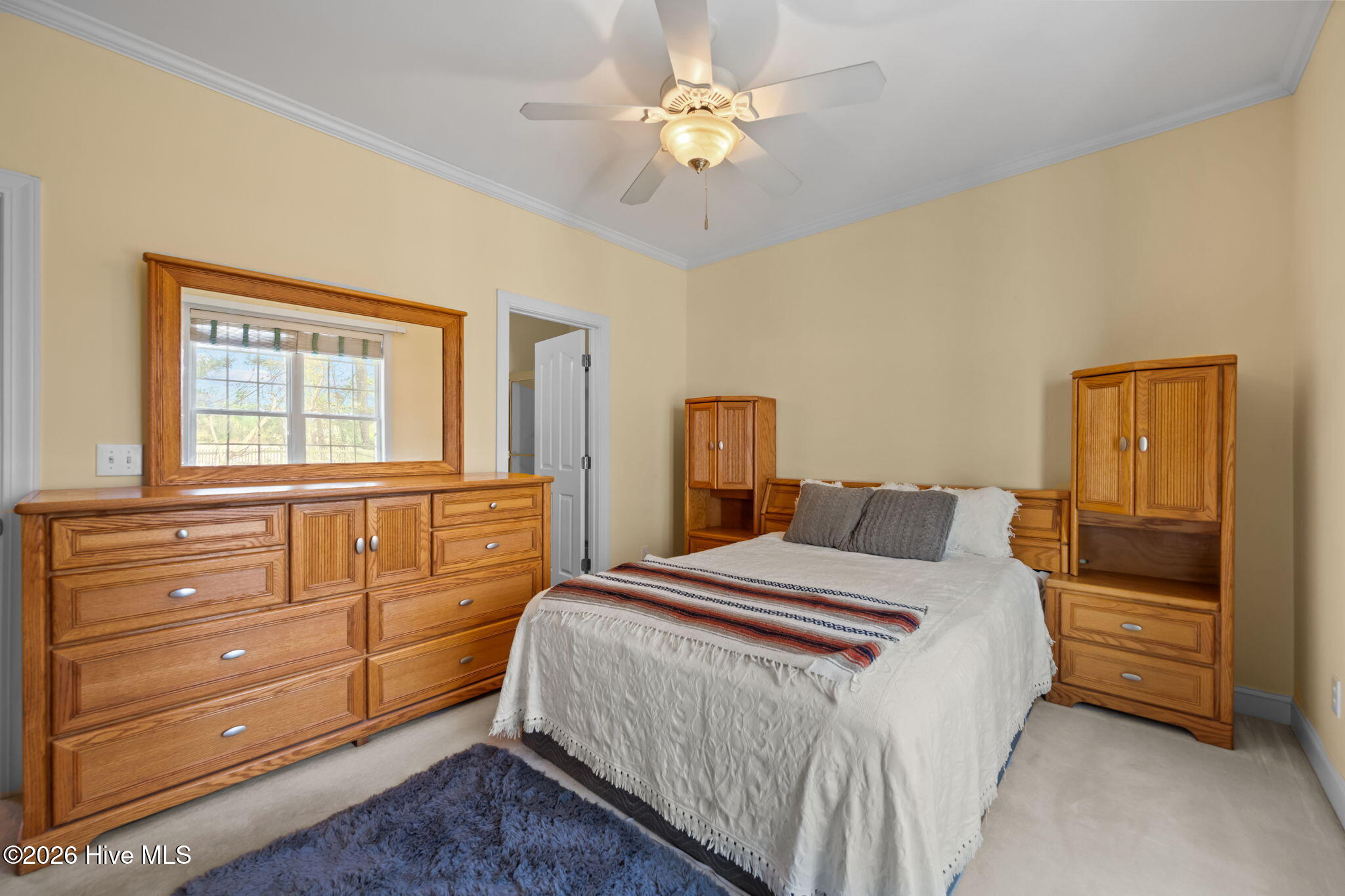 100552548 | Photo 23