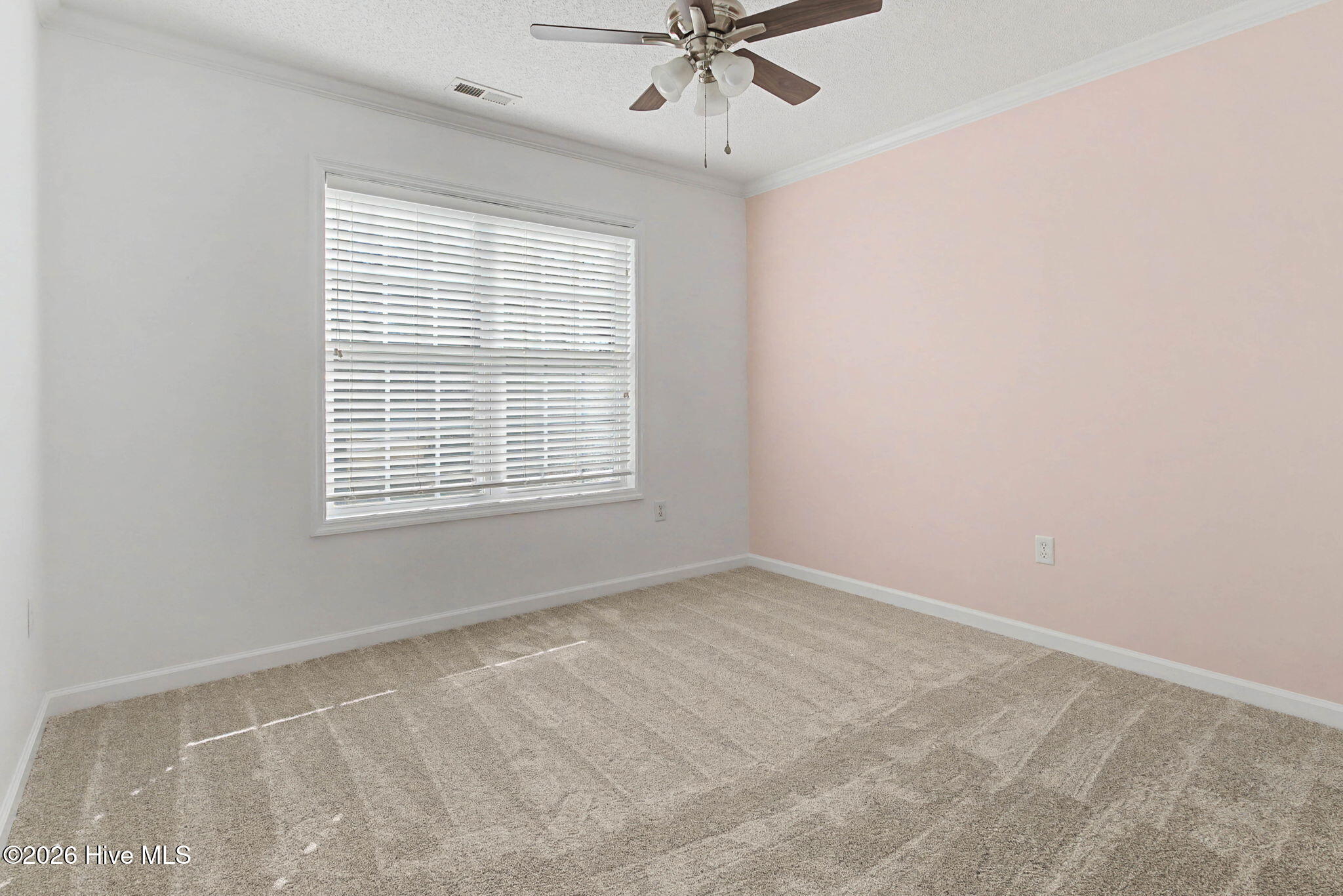 100547779 | Photo 22