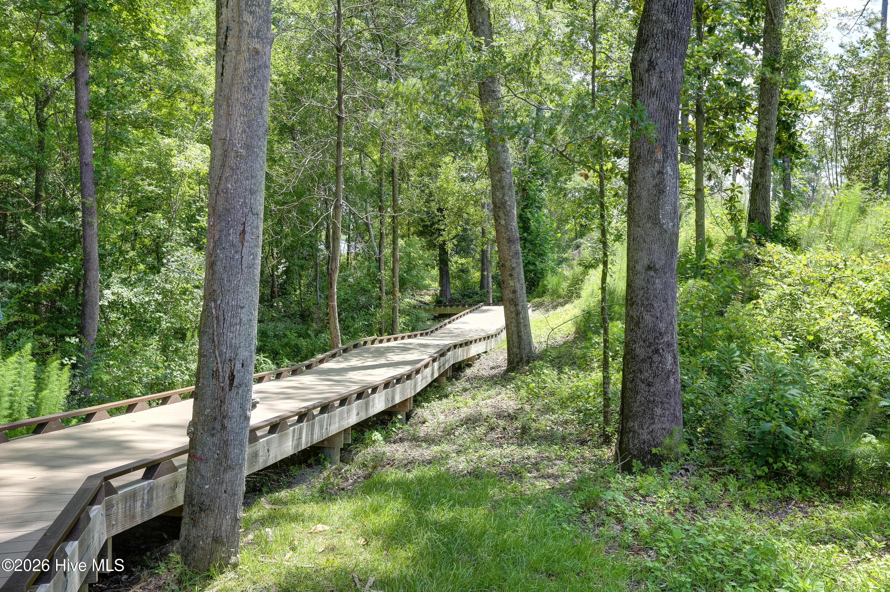 100563729 | Photo 69