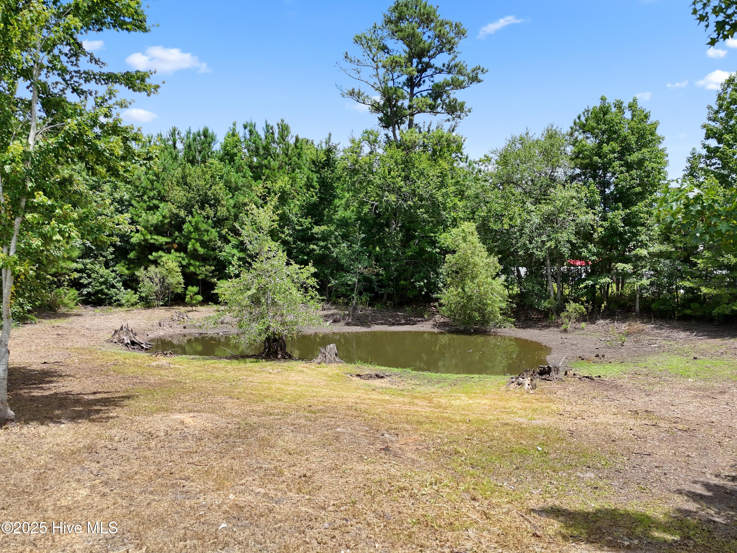 100519595 | Photo 23