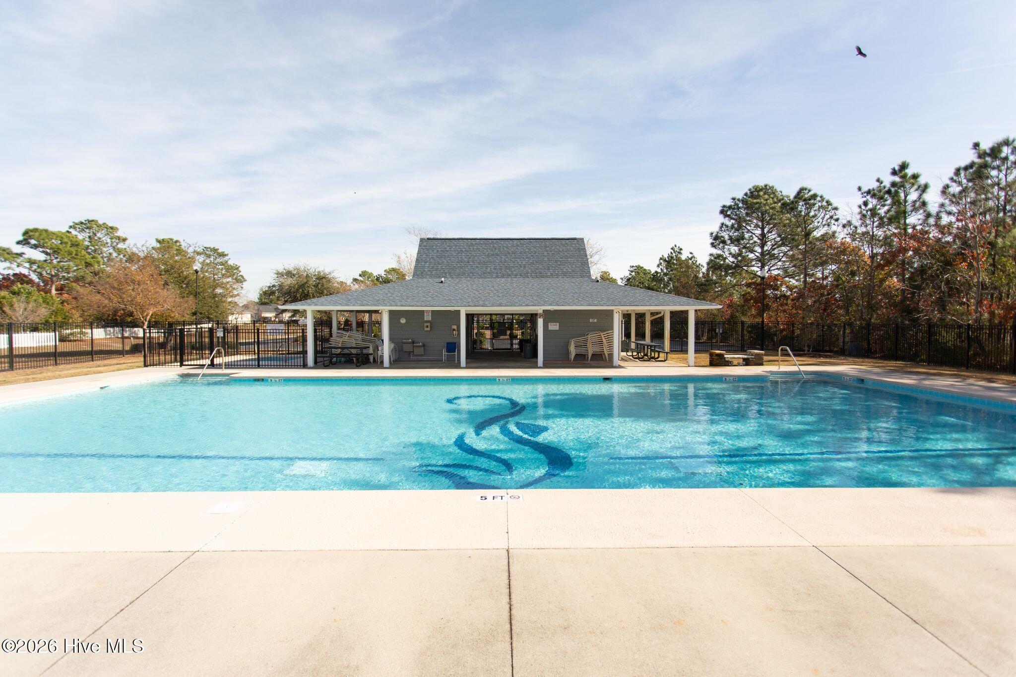 100554747 | Photo 37