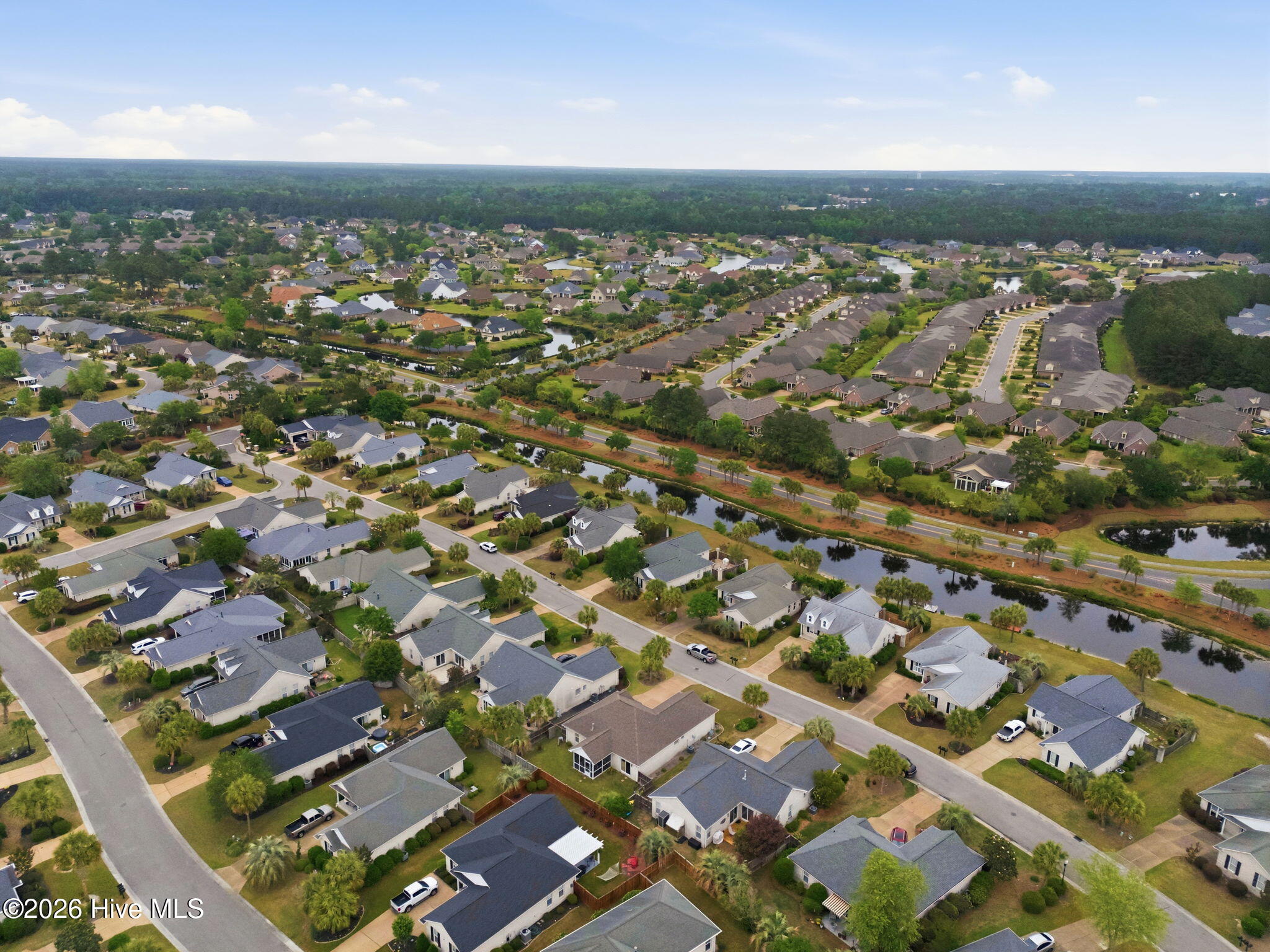 100570673 | Photo 52