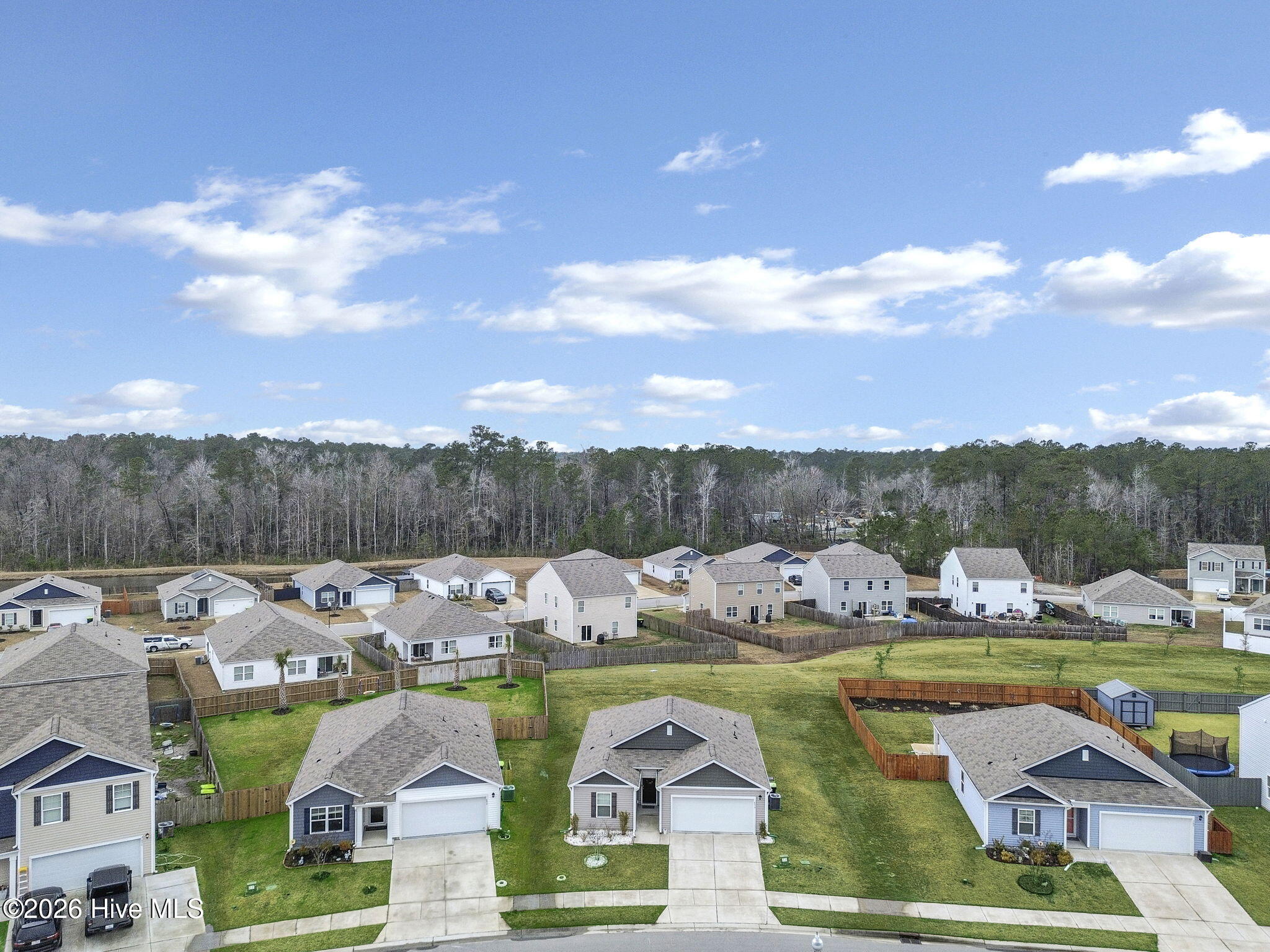 100564781 | Photo 30