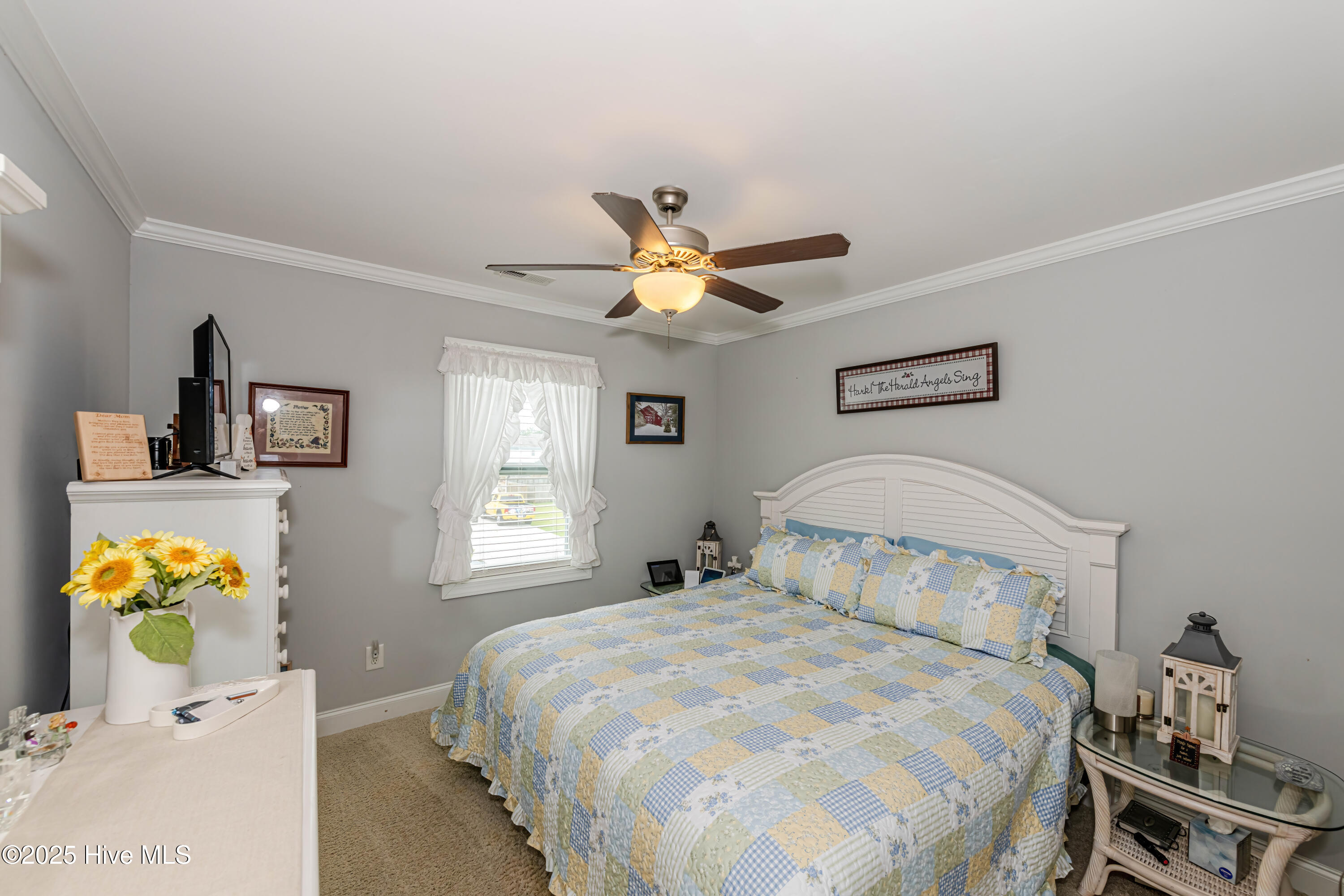 100524839 | Photo 51