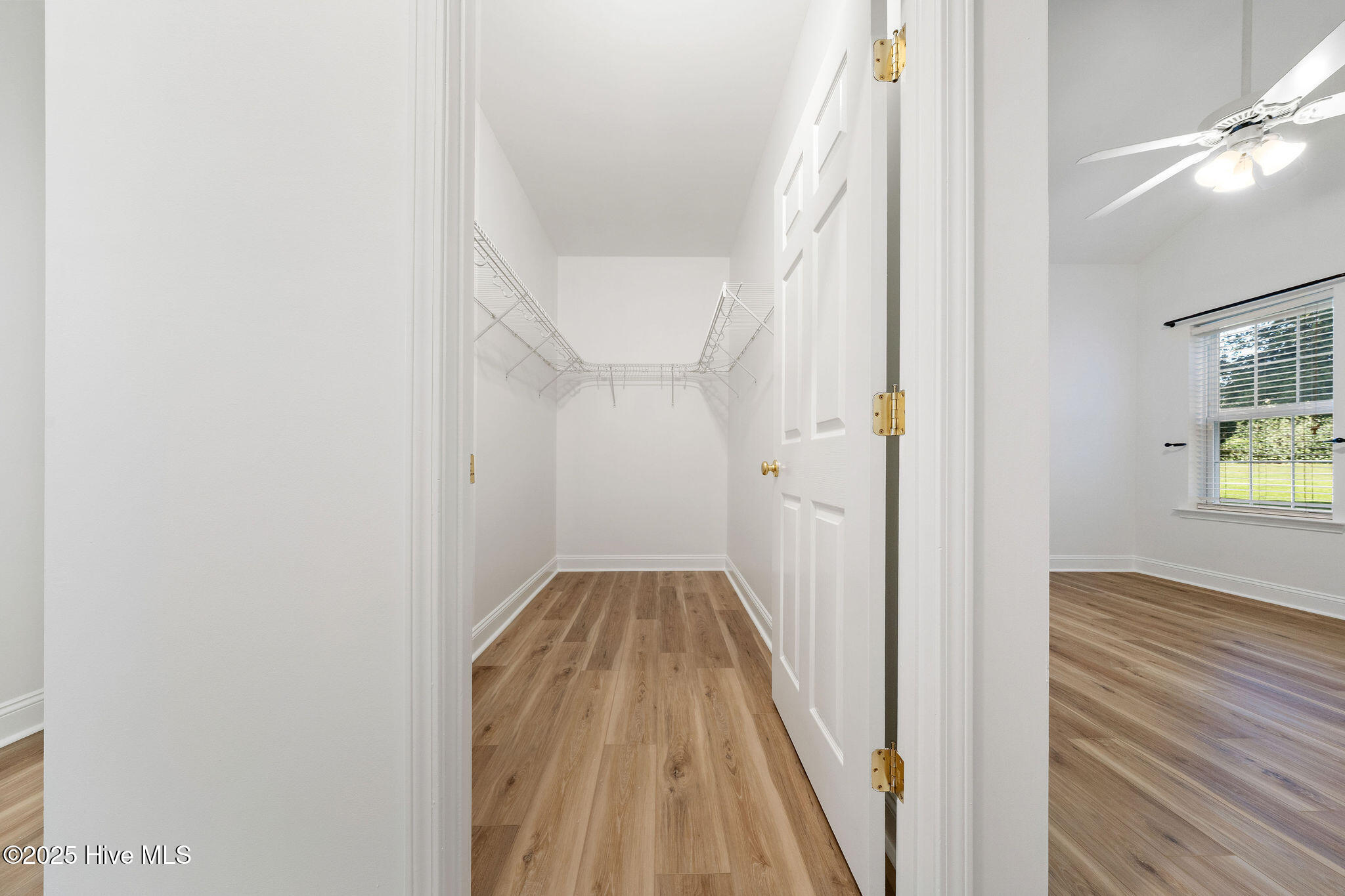 100529129 | Photo 23