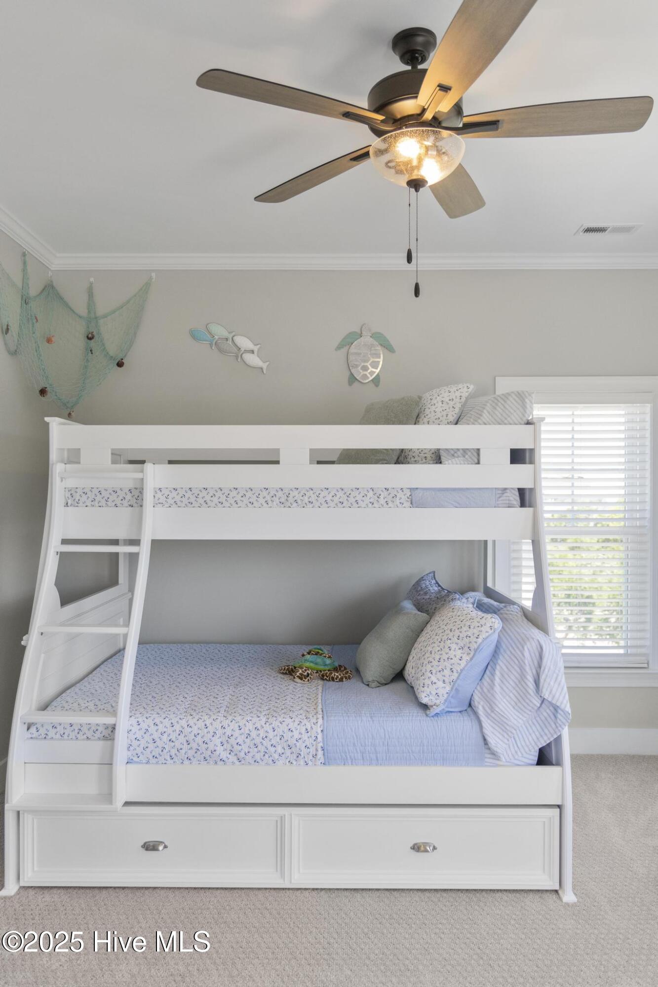 100498543 | Photo 103