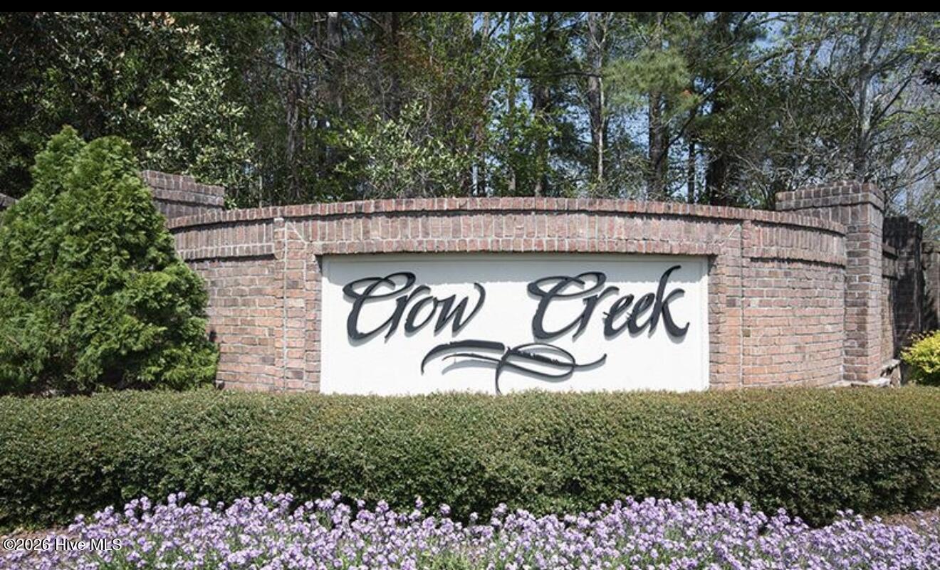 100558778 | Photo 32