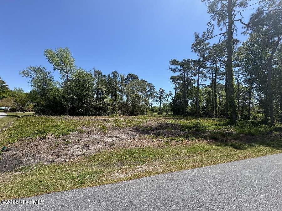 Lot 1 Hartsell Lane, Jackson Springs, NC, 27281