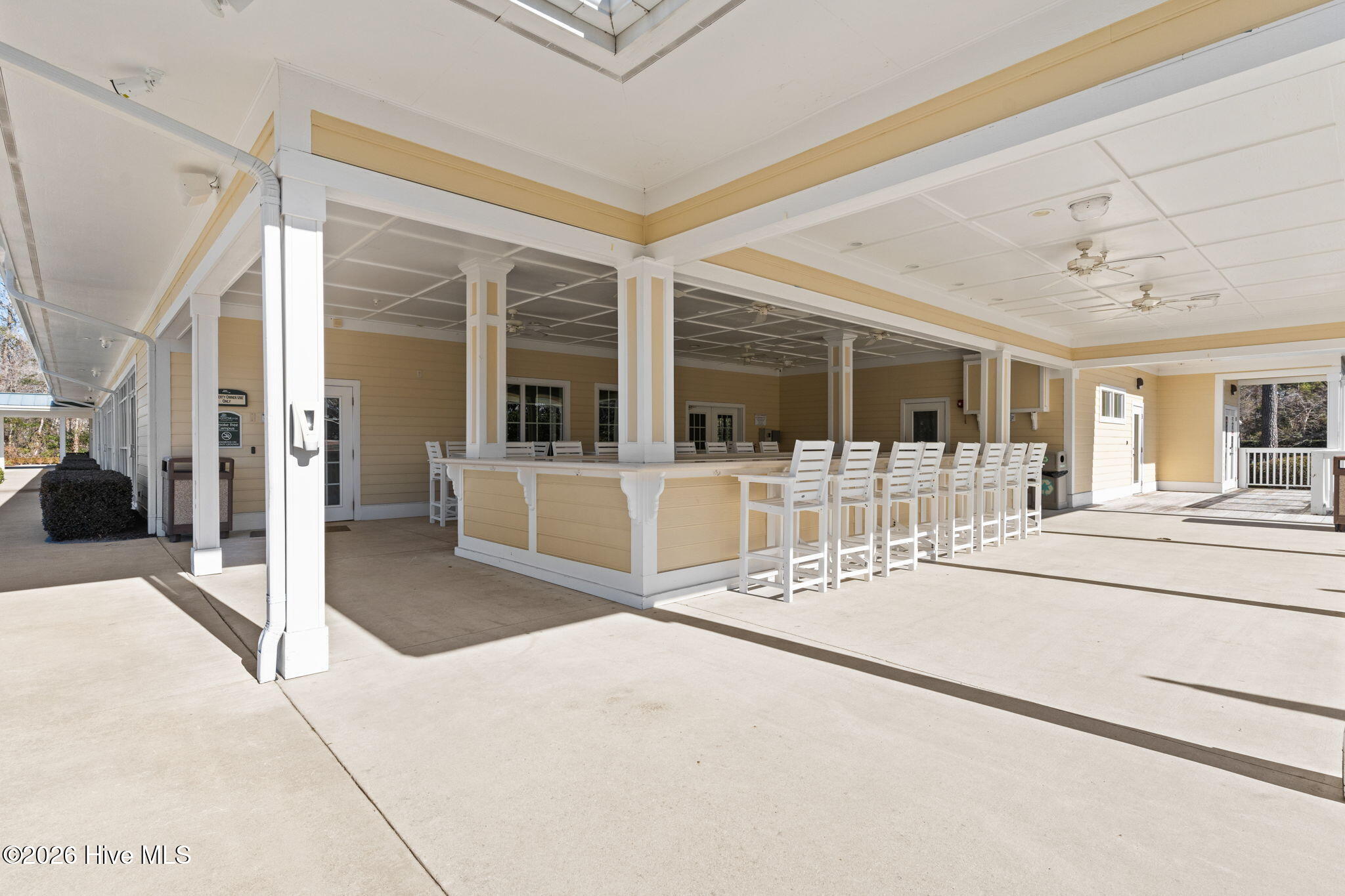 100553599 | Photo 66