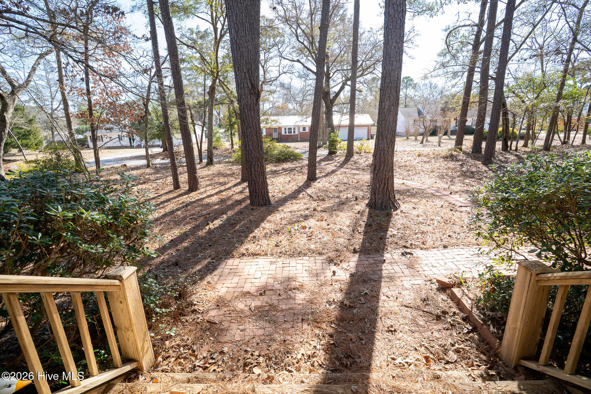 100558507 | Photo 22