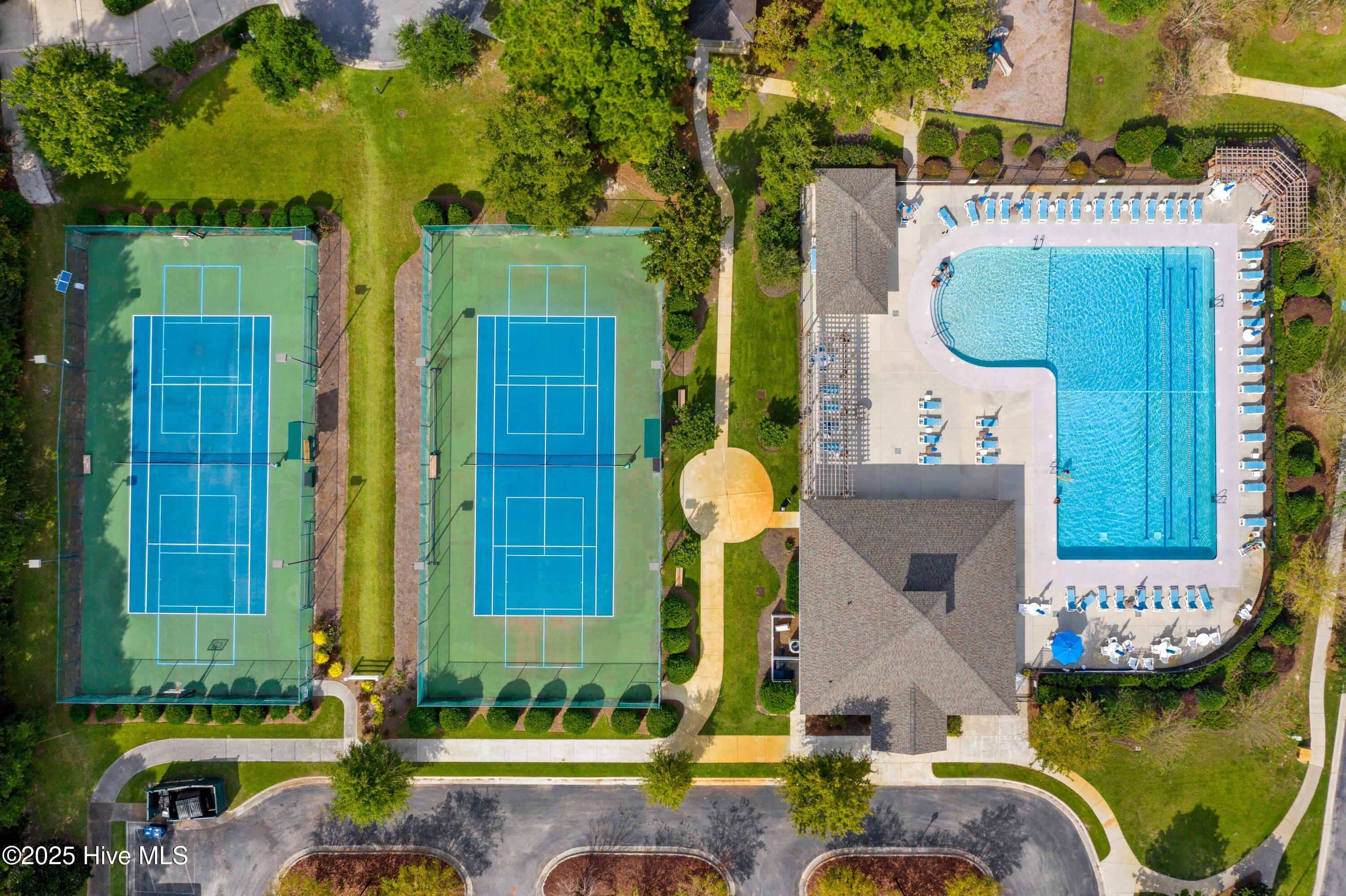 100528039 | Photo 18