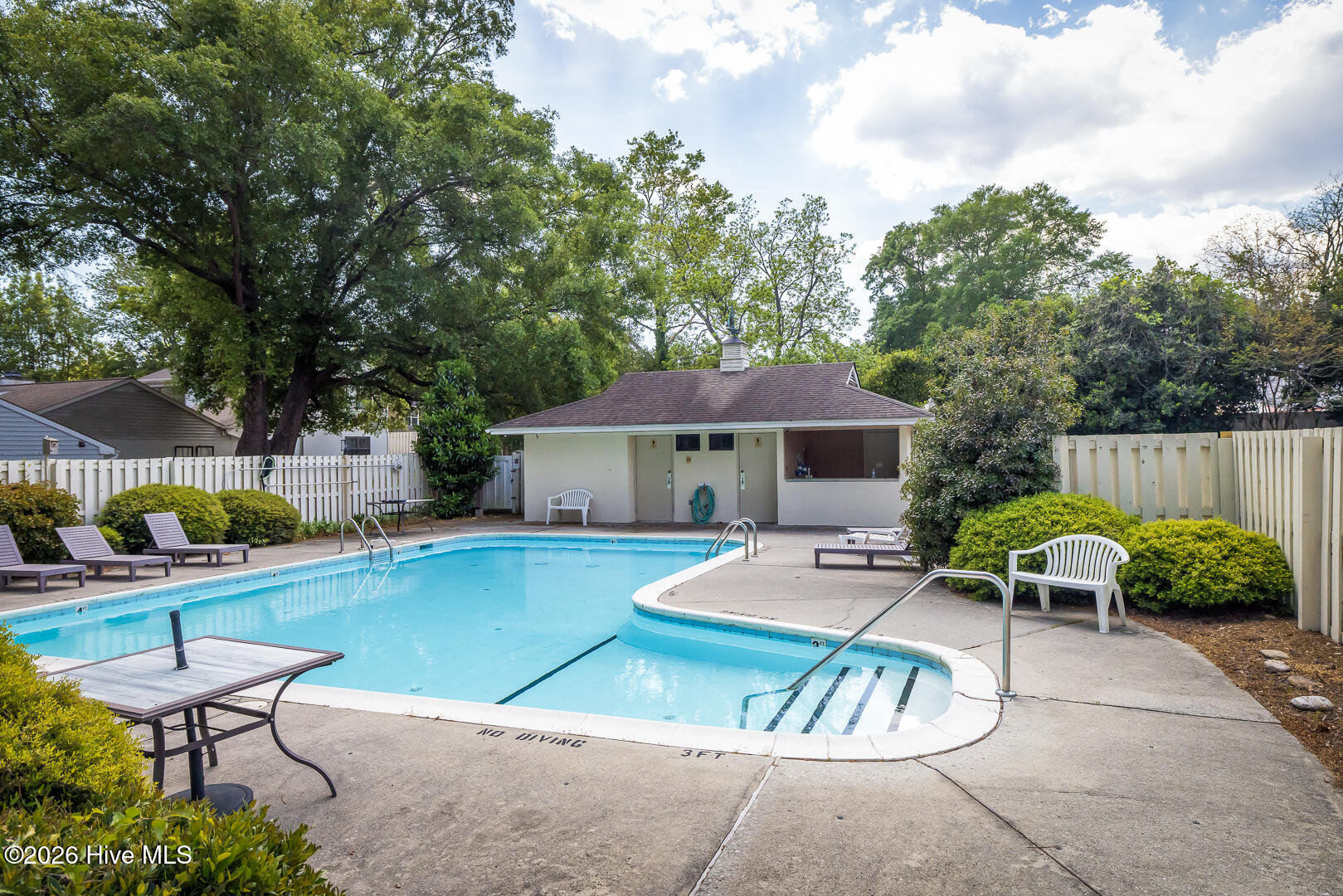 100567936 | Photo 25