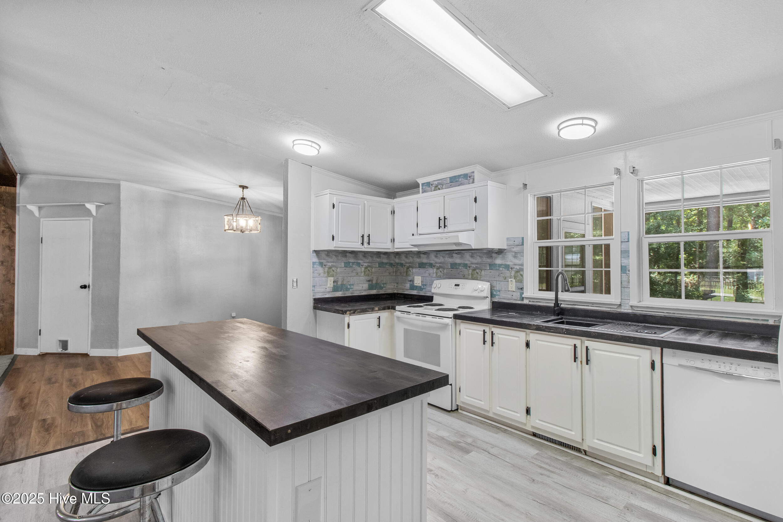 100515334 | Photo 19