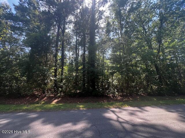 5710 Barbary Coast Drive,New Bern