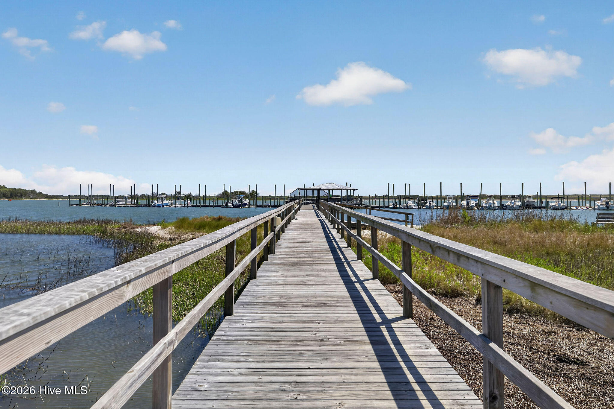 100570117 | Photo 51