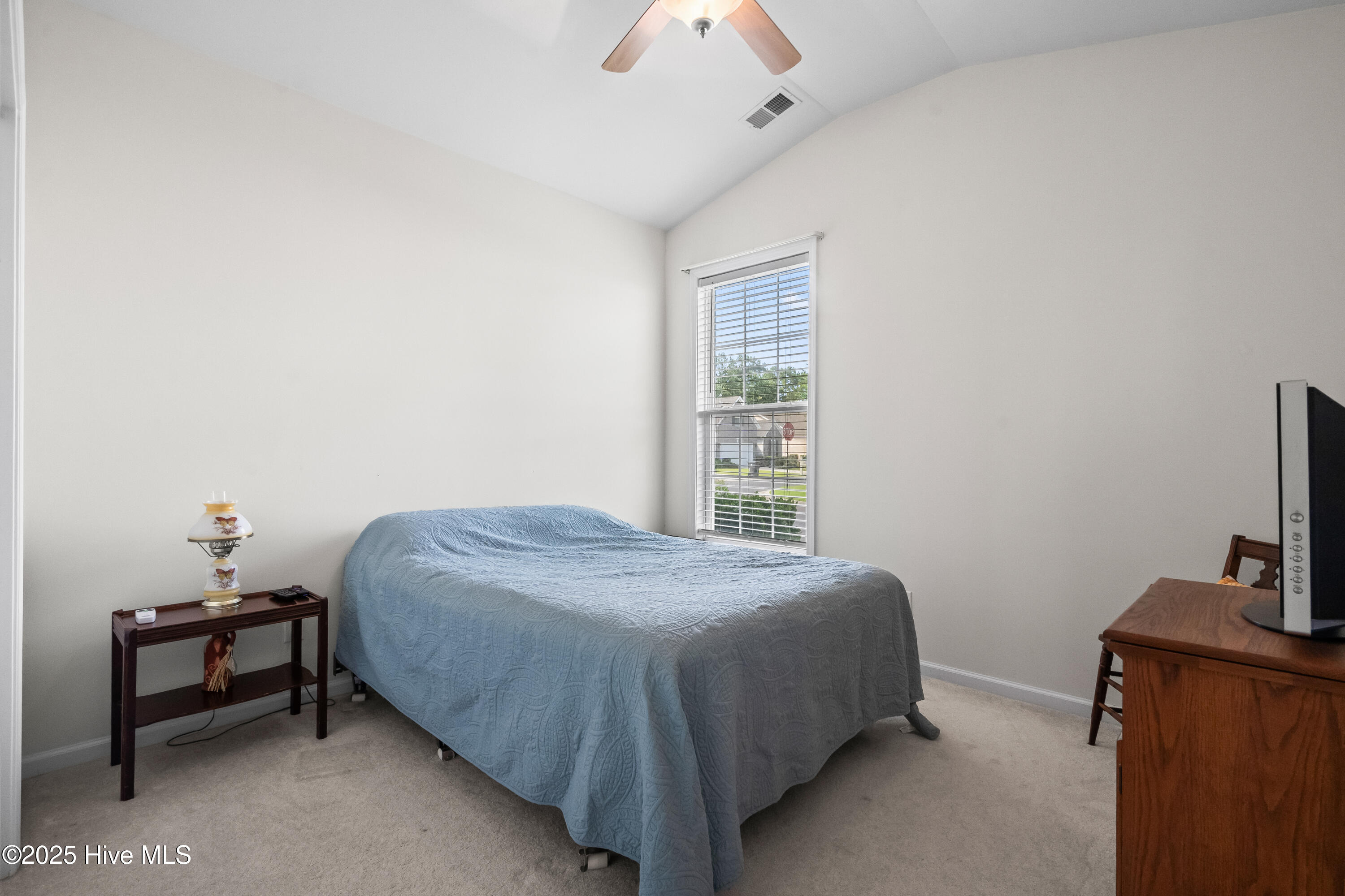 100514245 | Photo 23