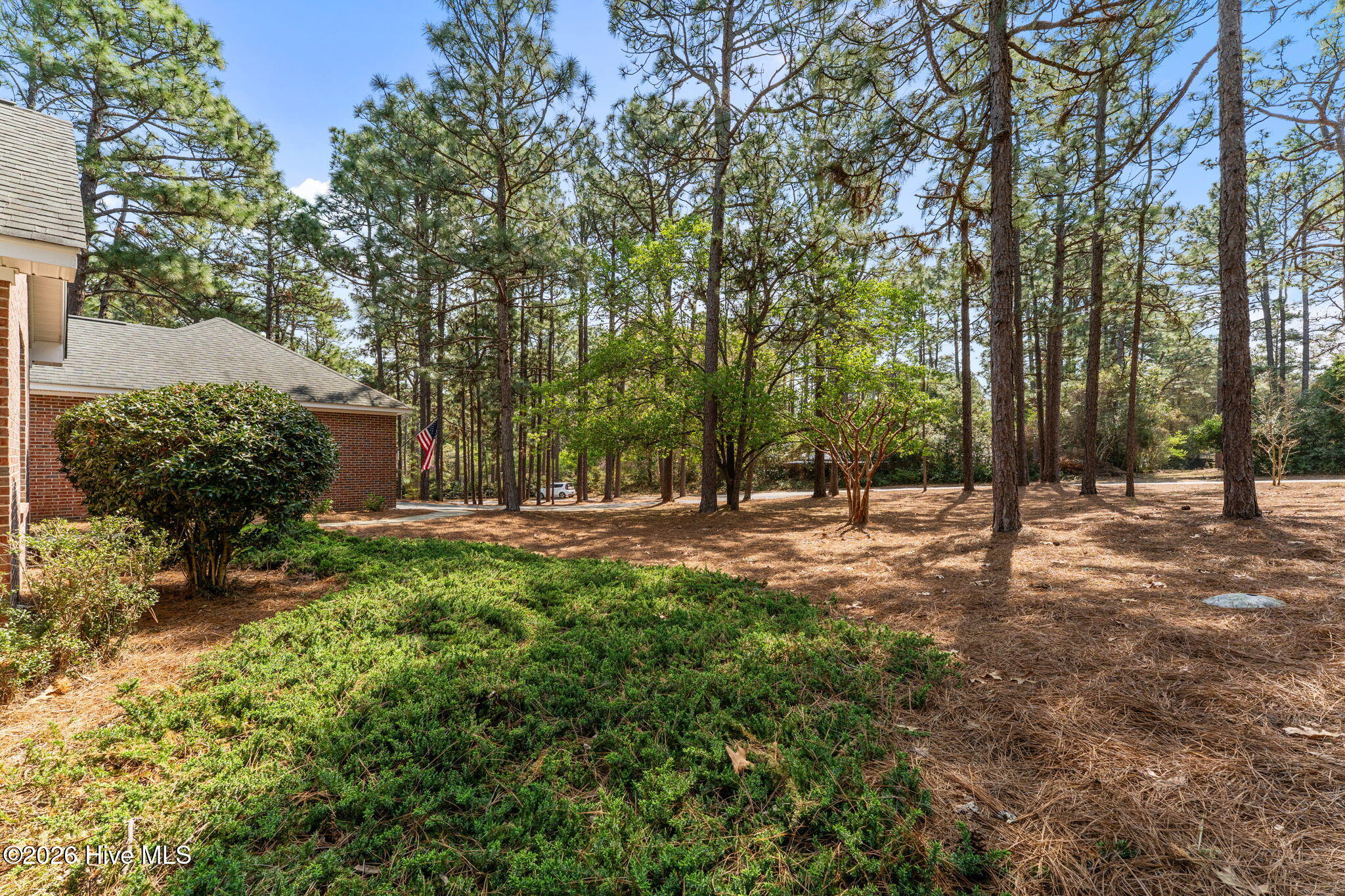 39-web-or-mls-DSC03991