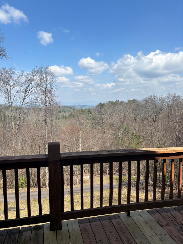 380 Buck Ridge Drive, Murphy, NC 28906 Listing Photo  16