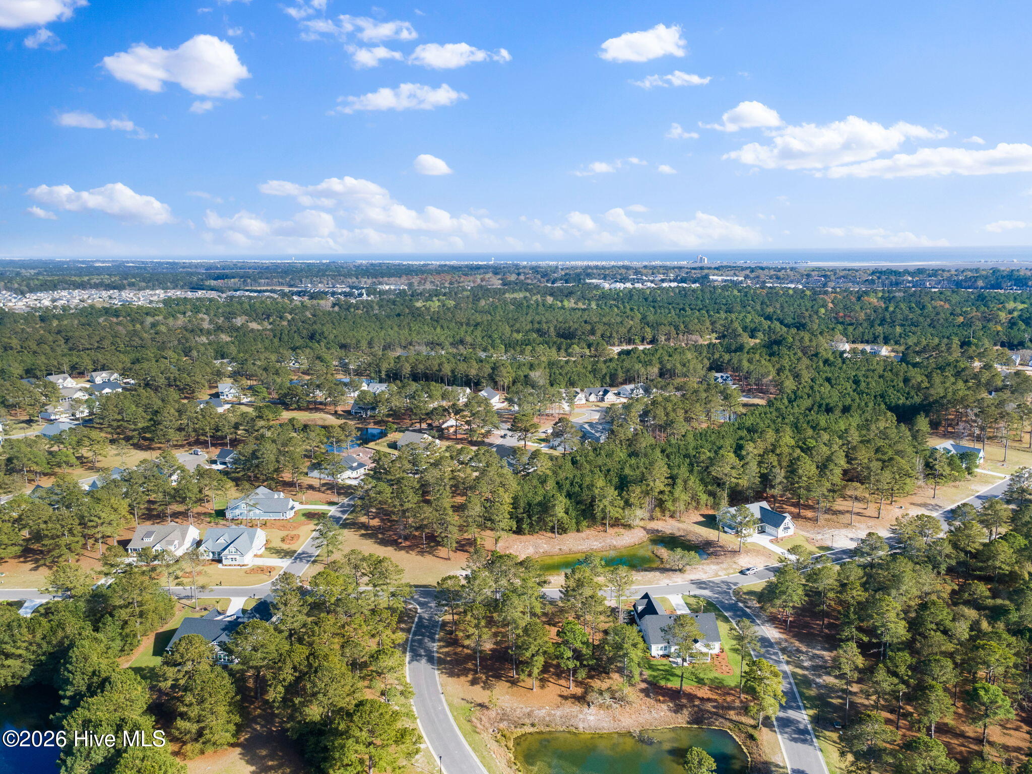 100563065 | Photo 10