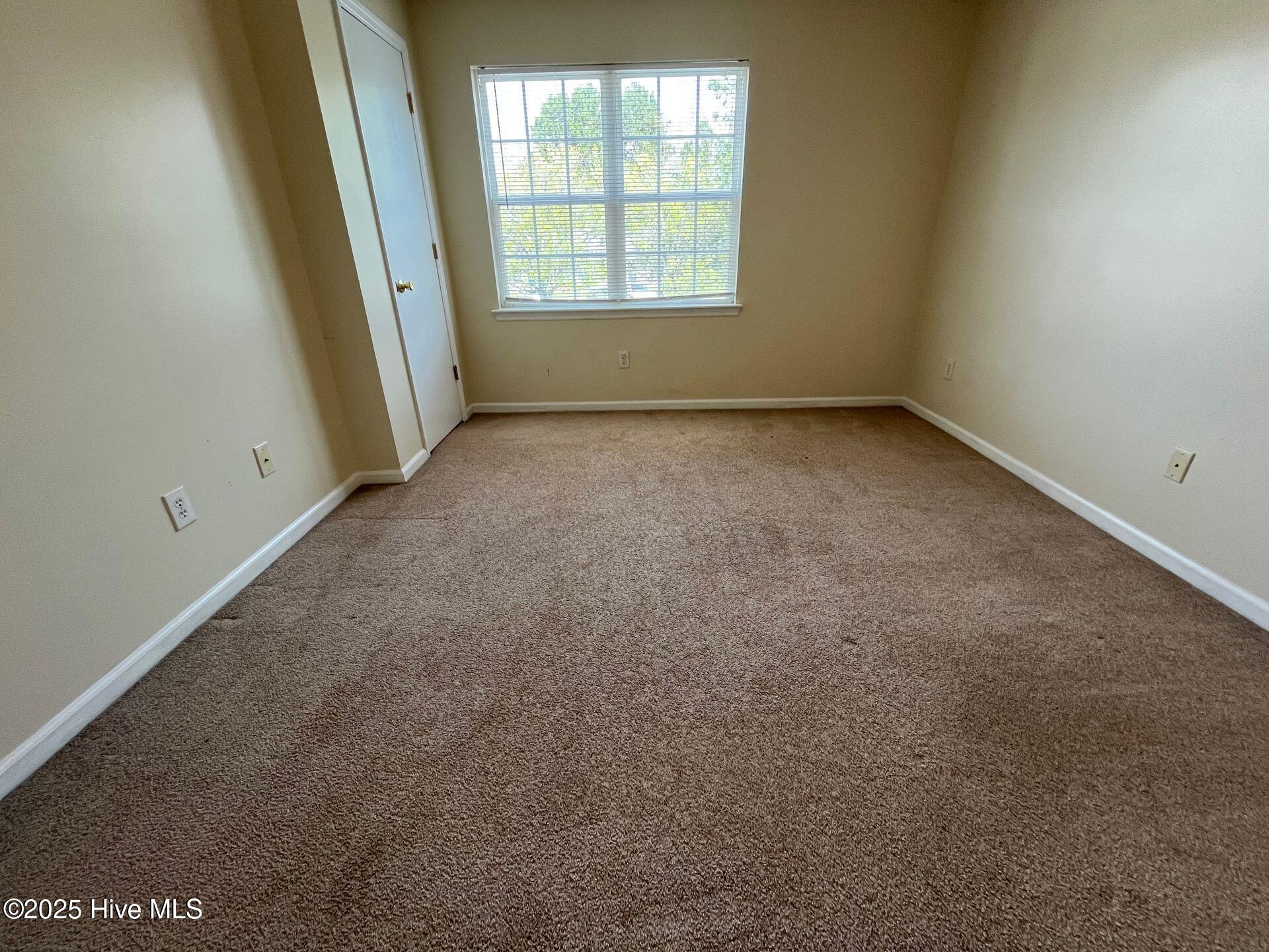 100569102 | Photo 26