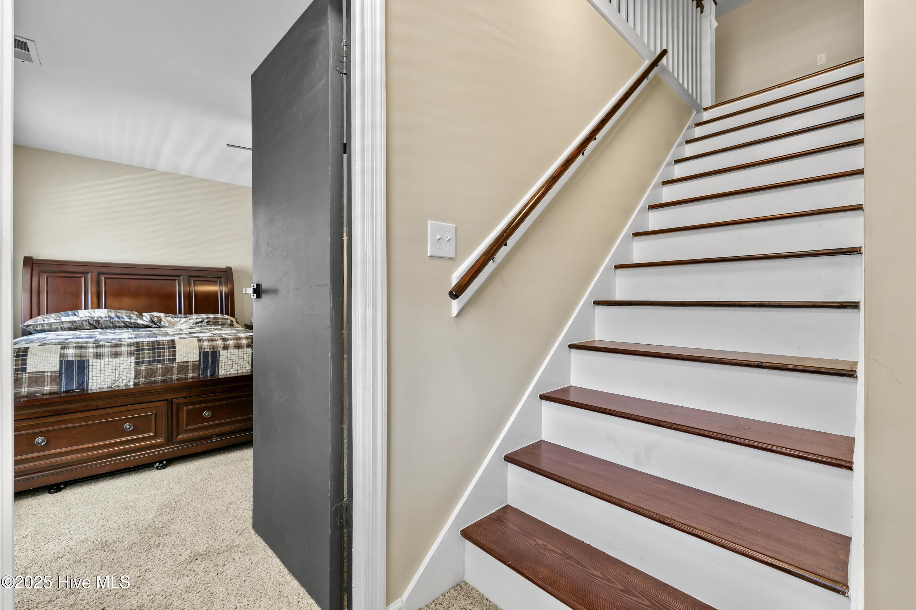 100494735 | Photo 50