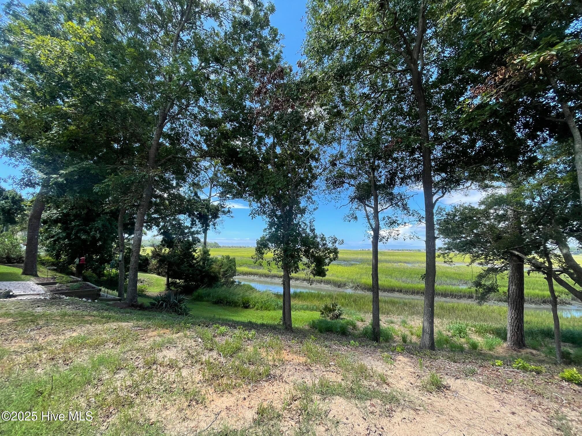 100523698 | Photo 22