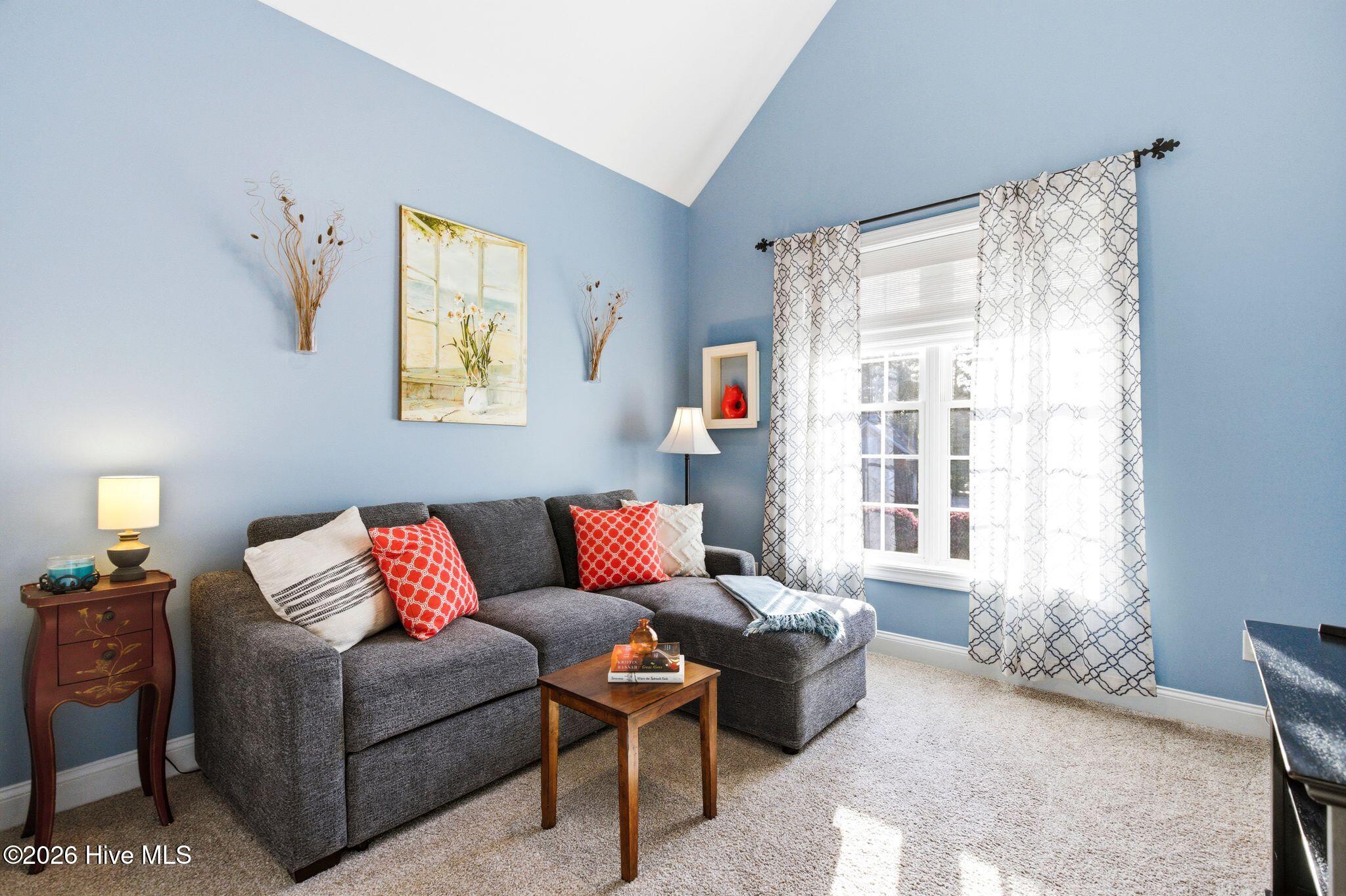 100564918 | Photo 38