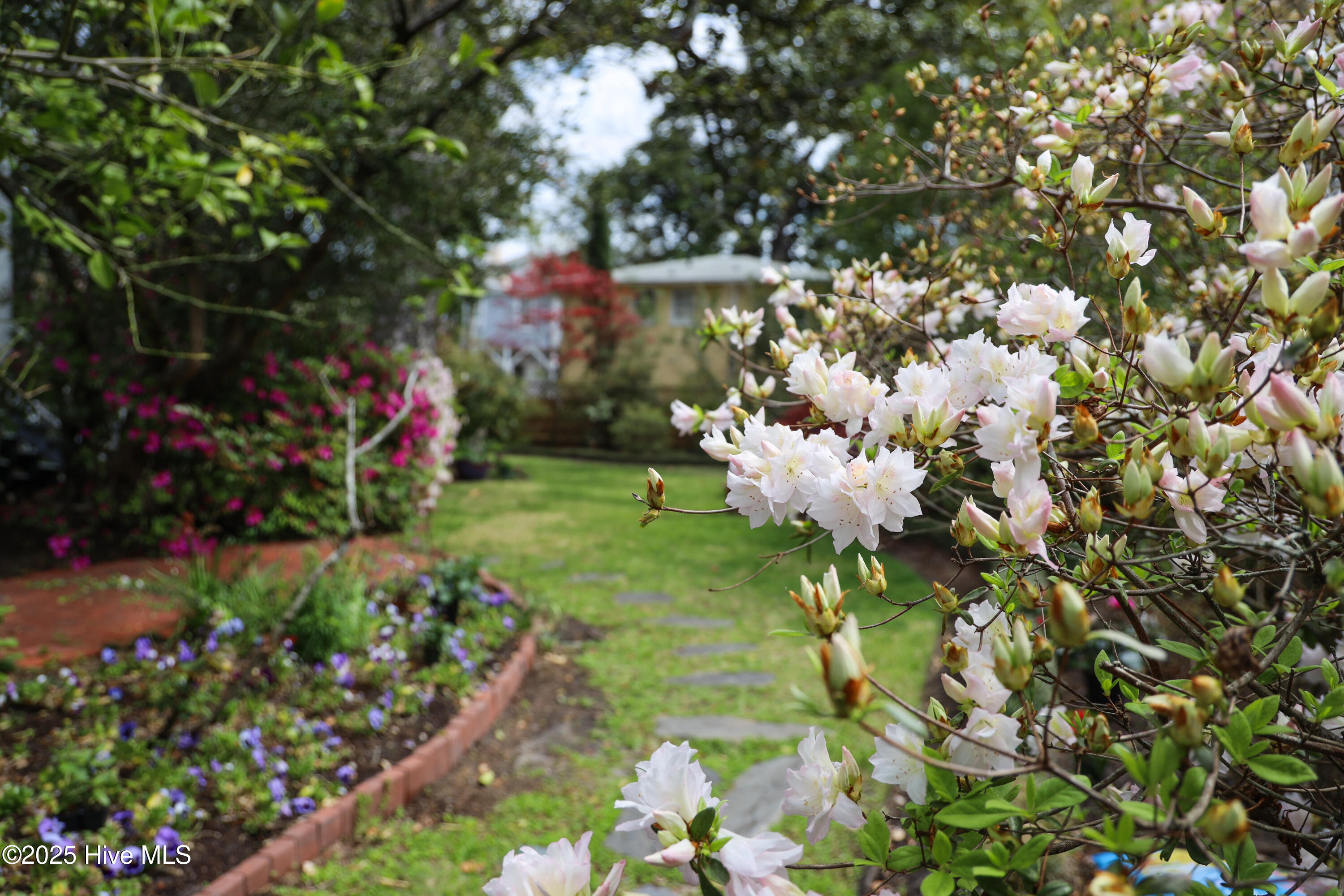 100501936 | Photo 93