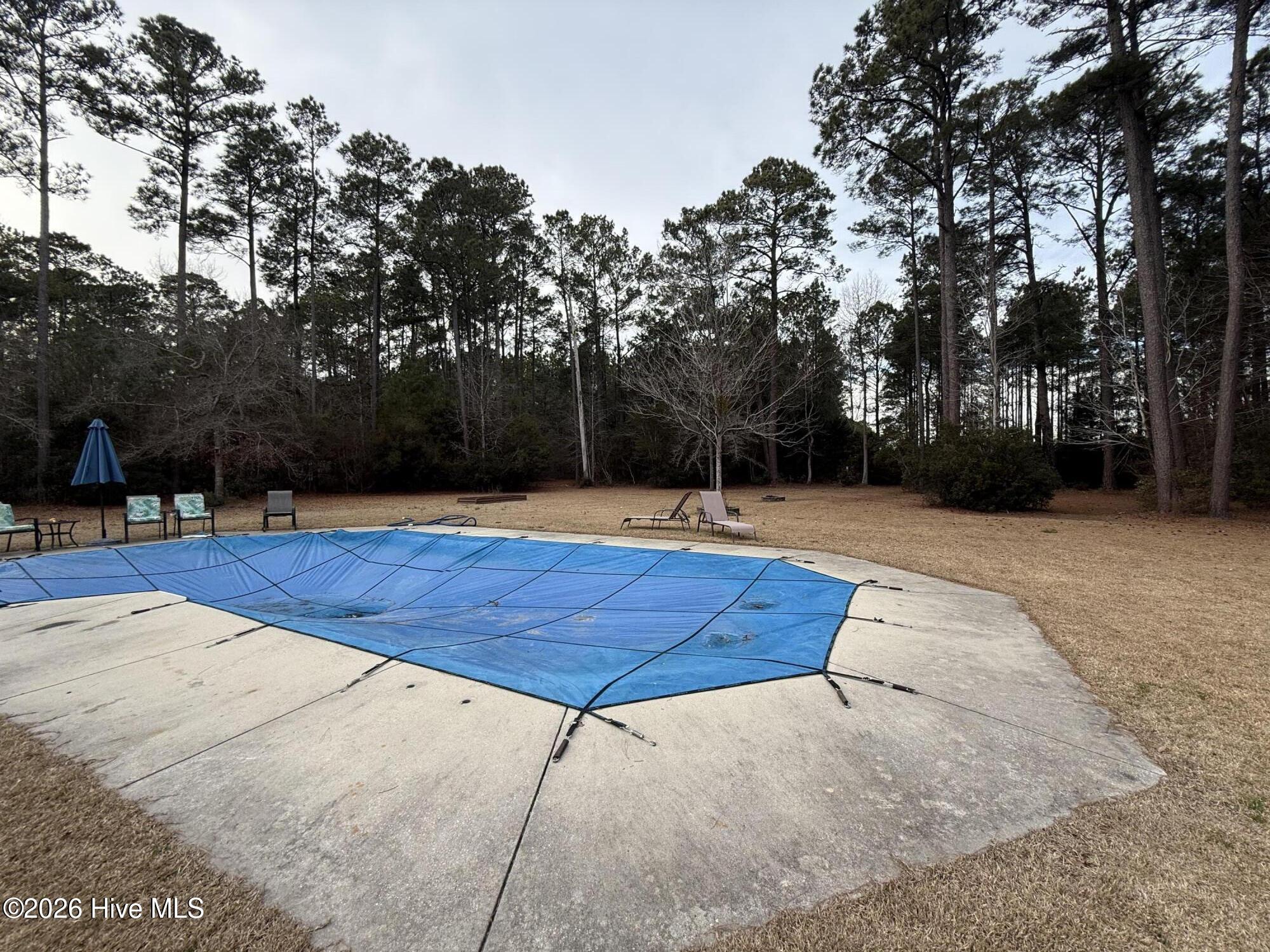 100552957 | Photo 37