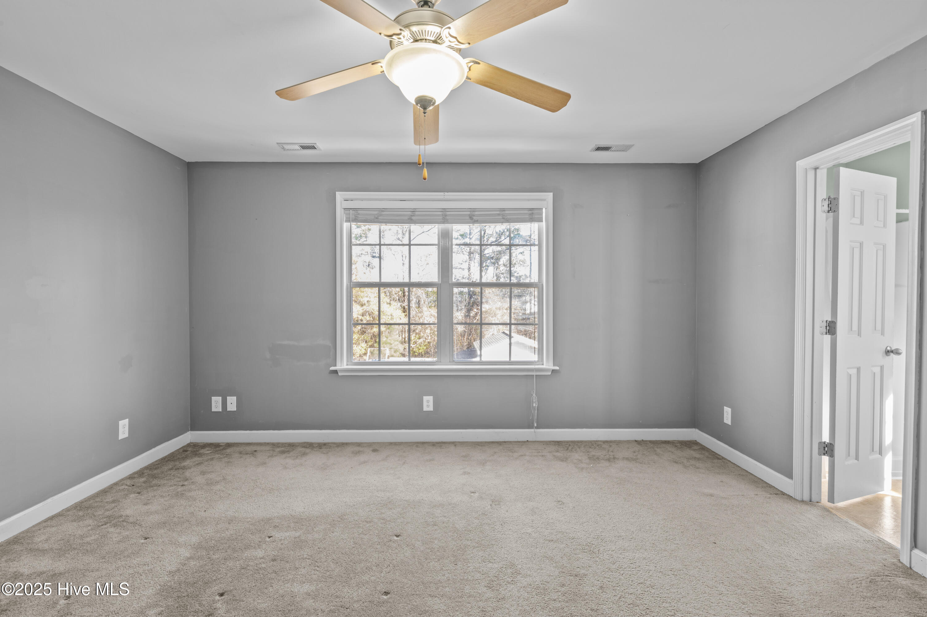 100546481 | Photo 19