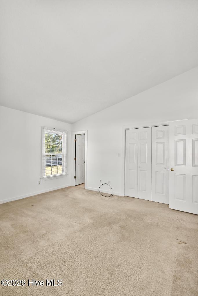 100566141 | Photo 26