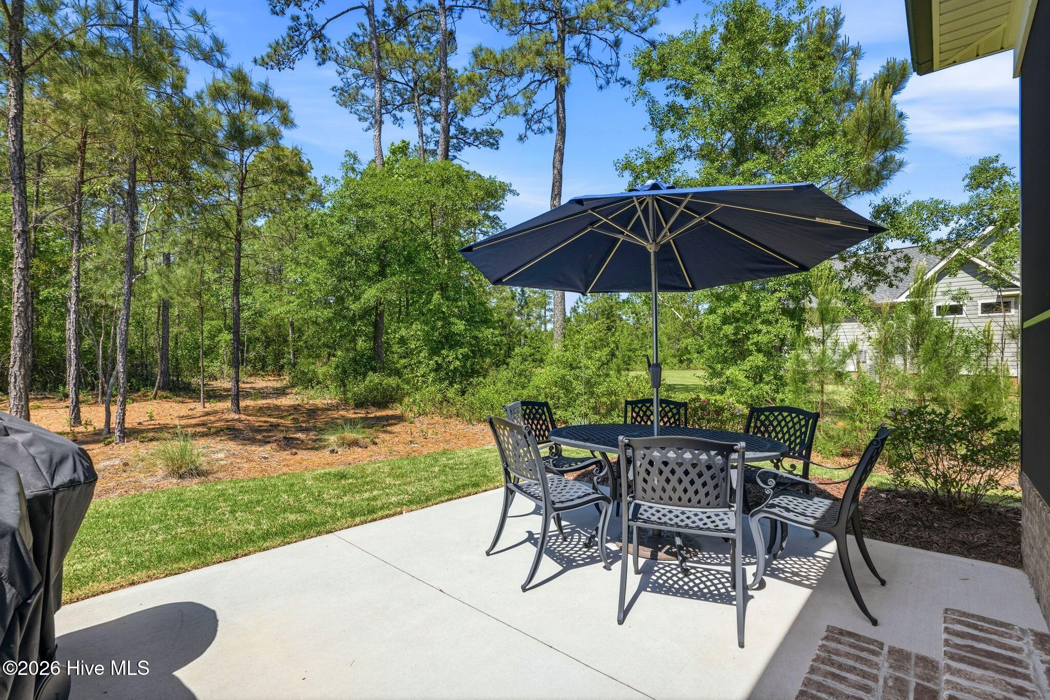 100569004 | Photo 60