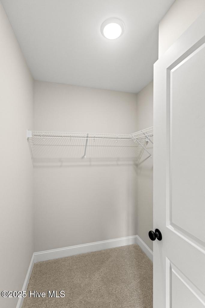 100516155 | Photo 28