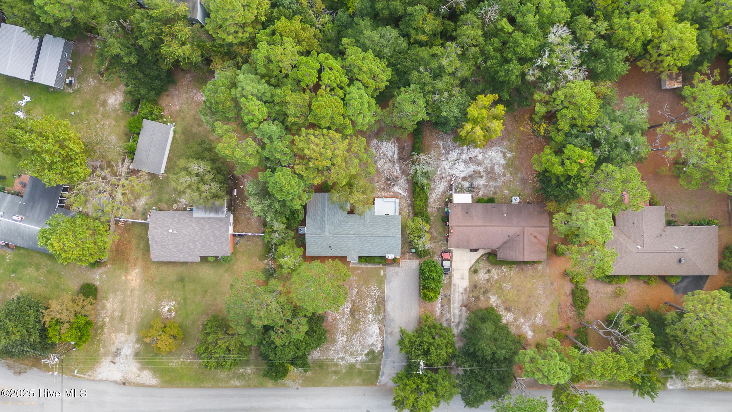 100534171 | Photo 38