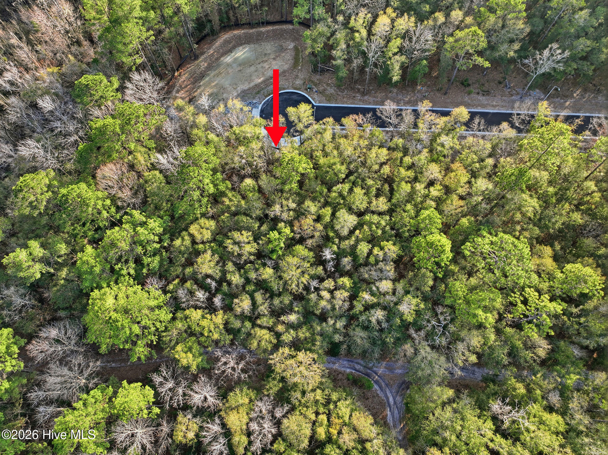 100556106 | Photo 10