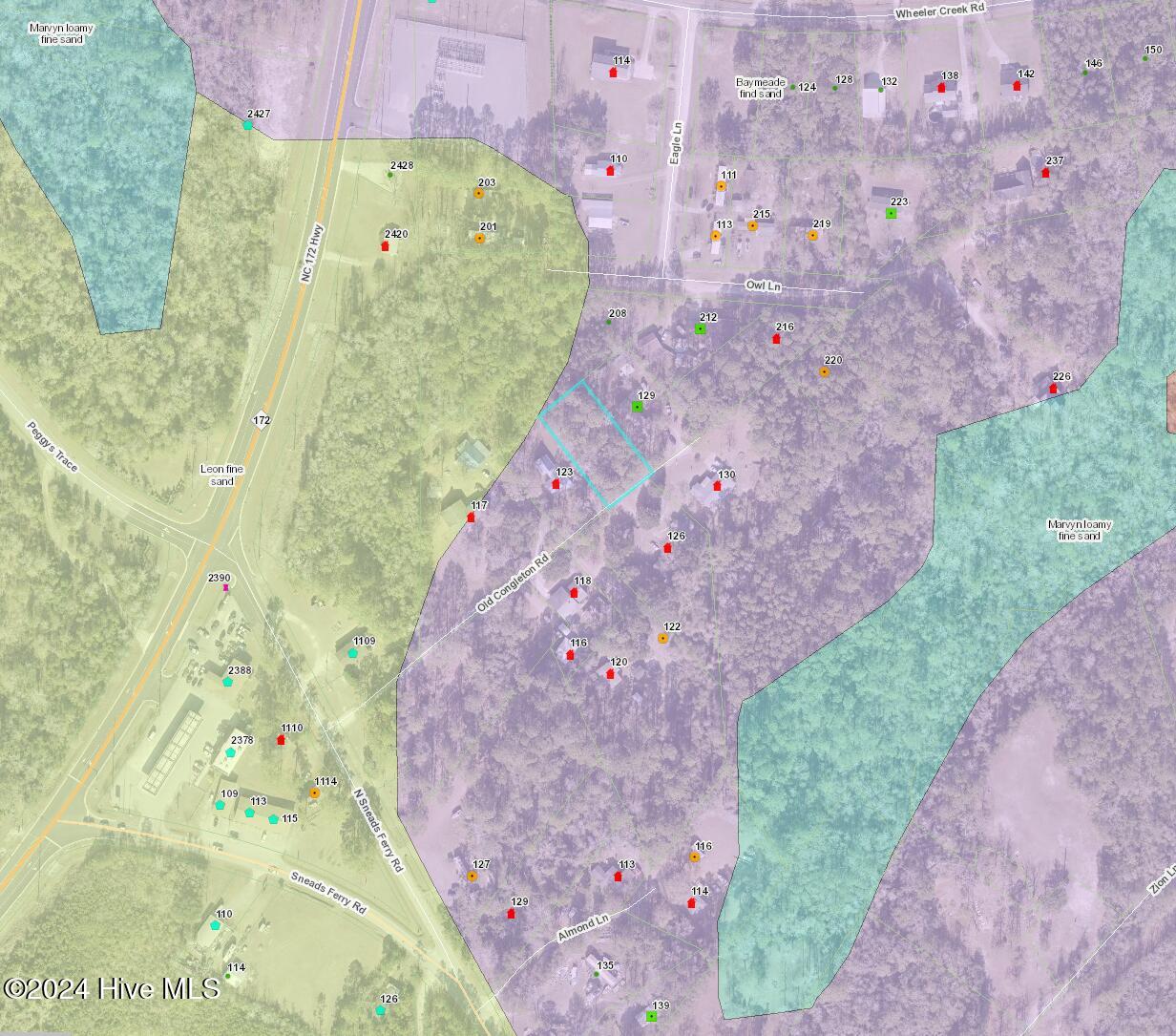 100543798 | Photo 15