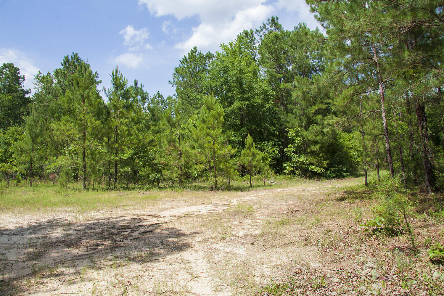 1515D HEPHZIBAH - MCBEAN Road, Hephzibah, GA, 30815