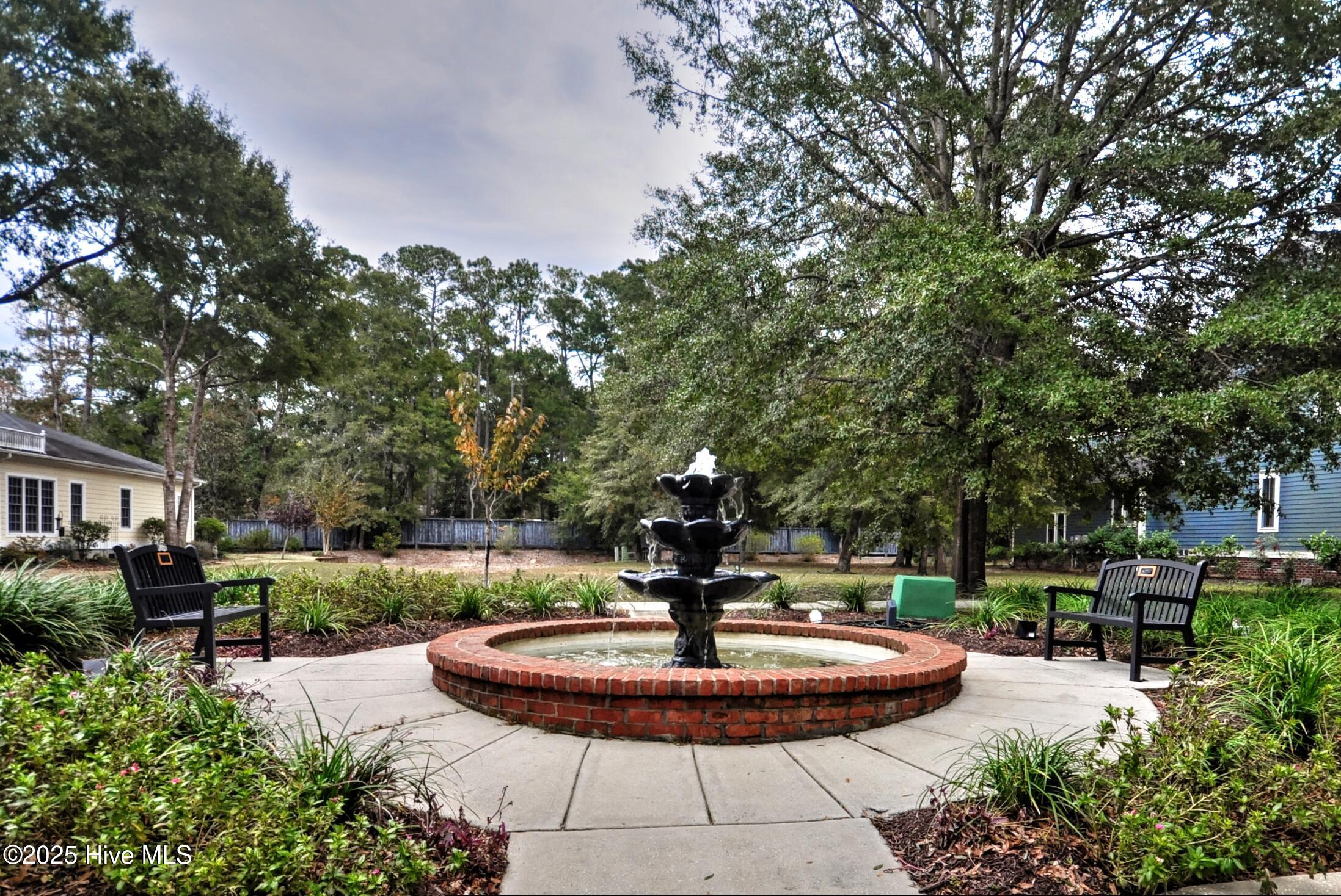 100535585 | Photo 66