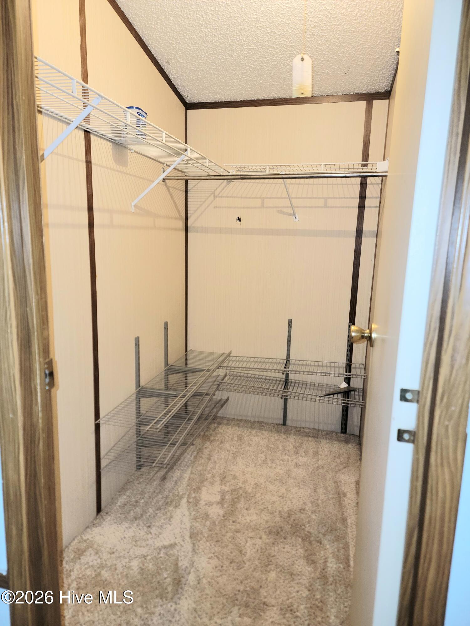 100551127 | Photo 26