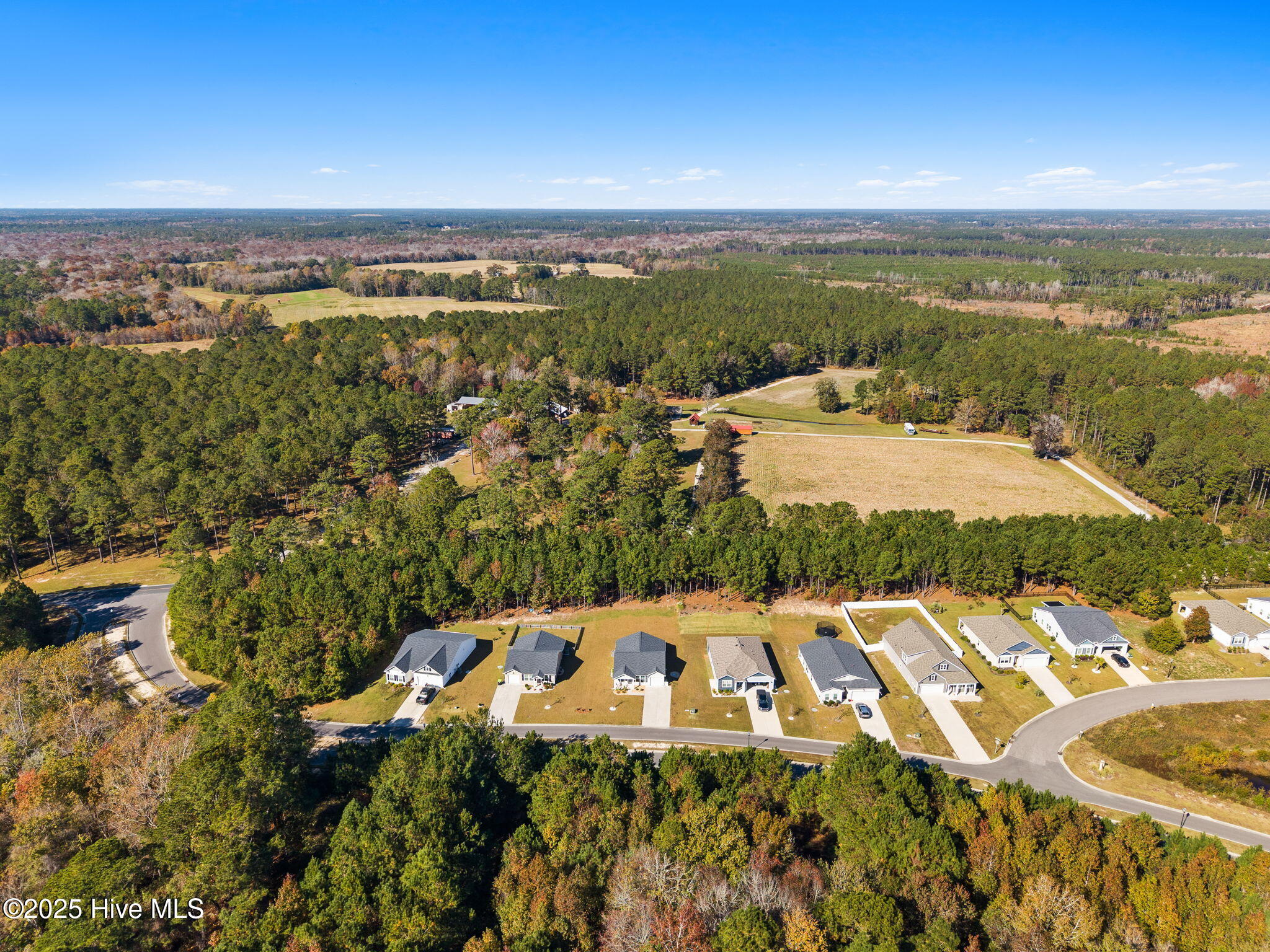 100549015 | Photo 31